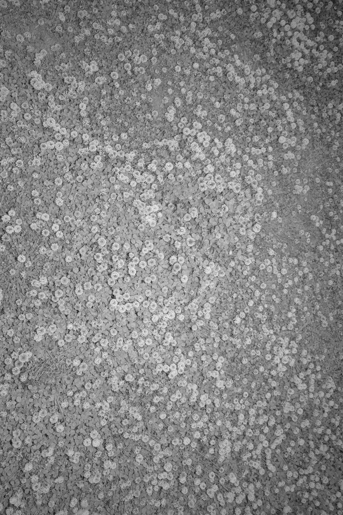 R0005505.jpg