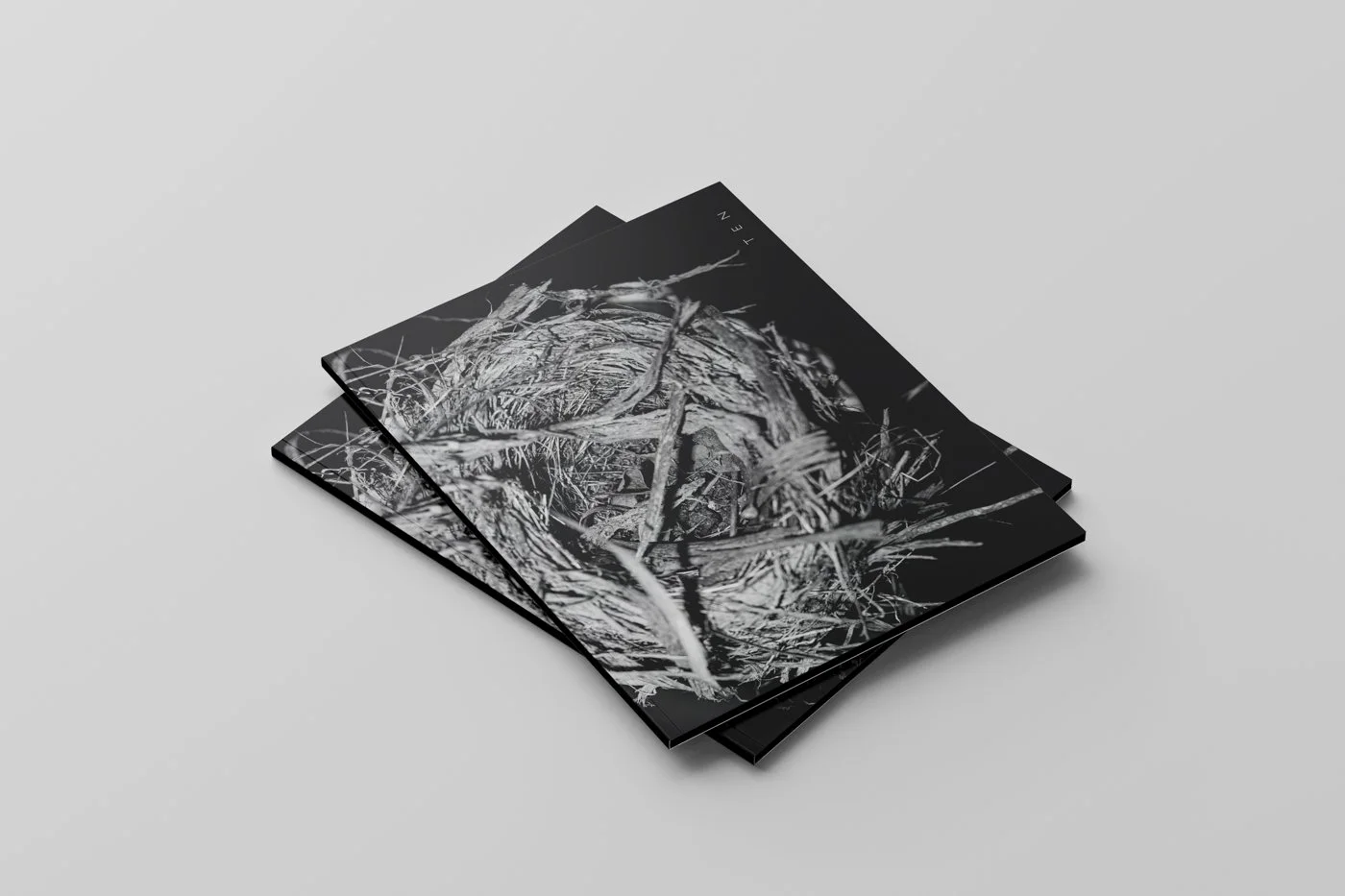 The Empty Nest Mockup 01.jpg