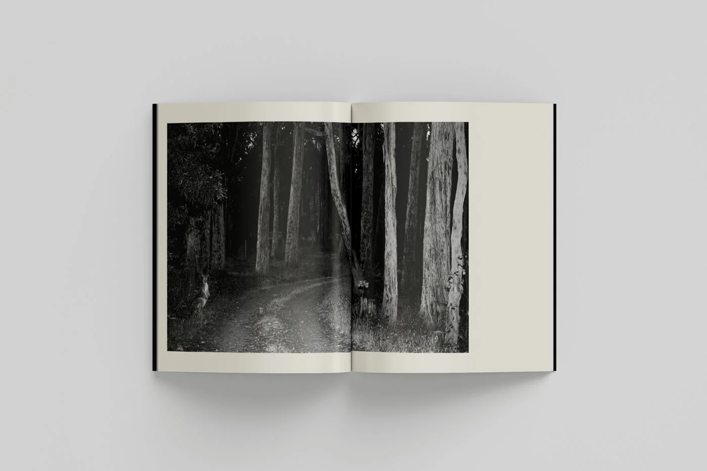 The Empty Nest Mockup 06.jpg