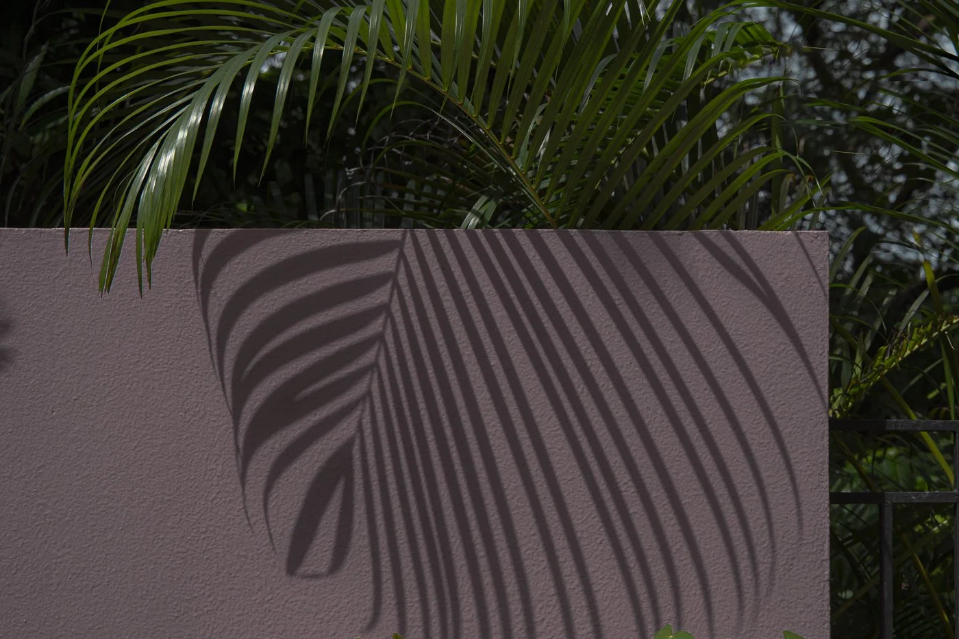 Urban/Shadows