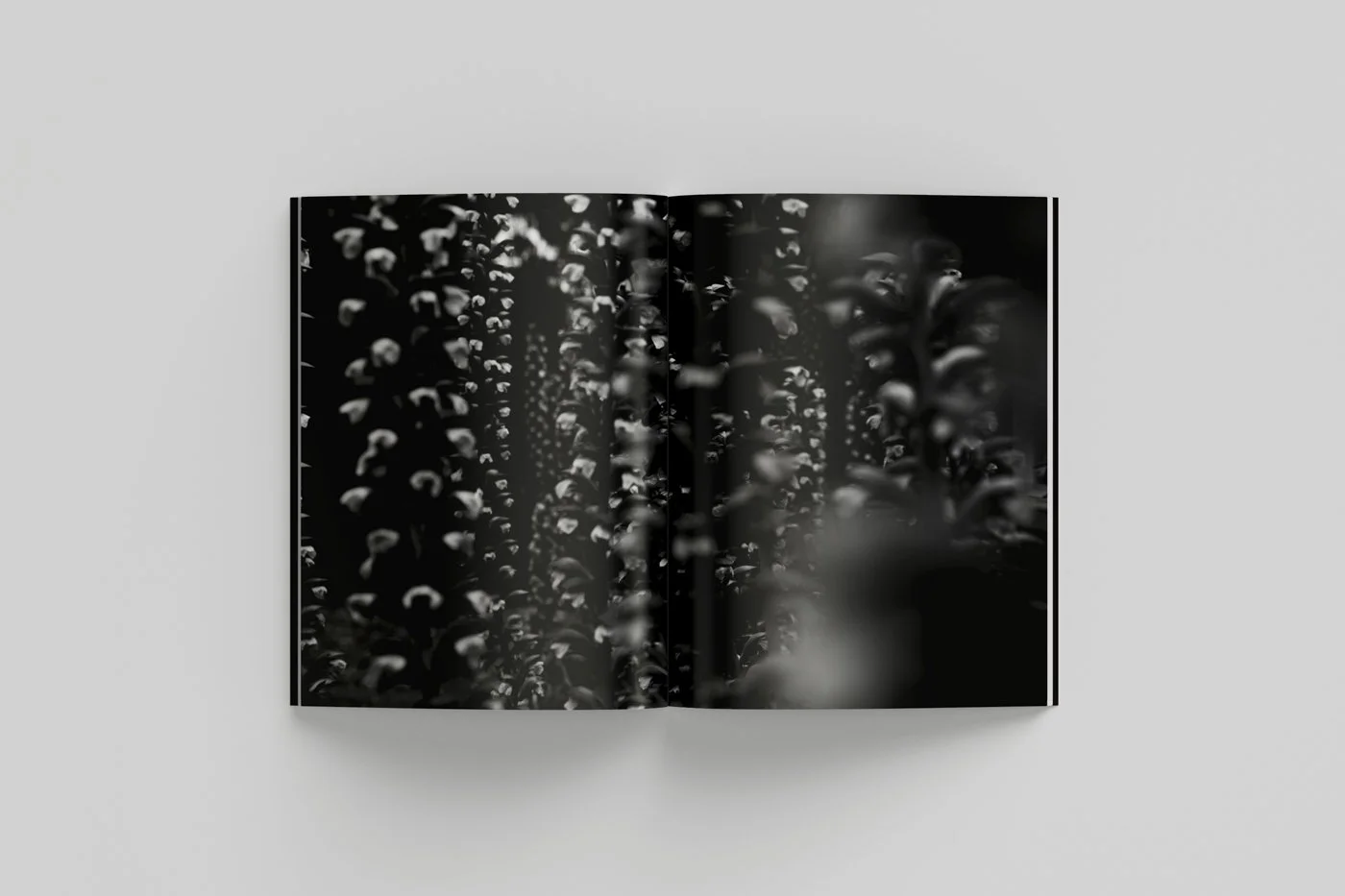 The Empty Nest Mockup 05.jpg