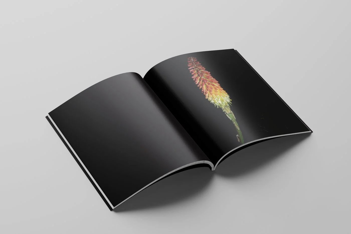 The Empty Nest Mockup 15.jpg