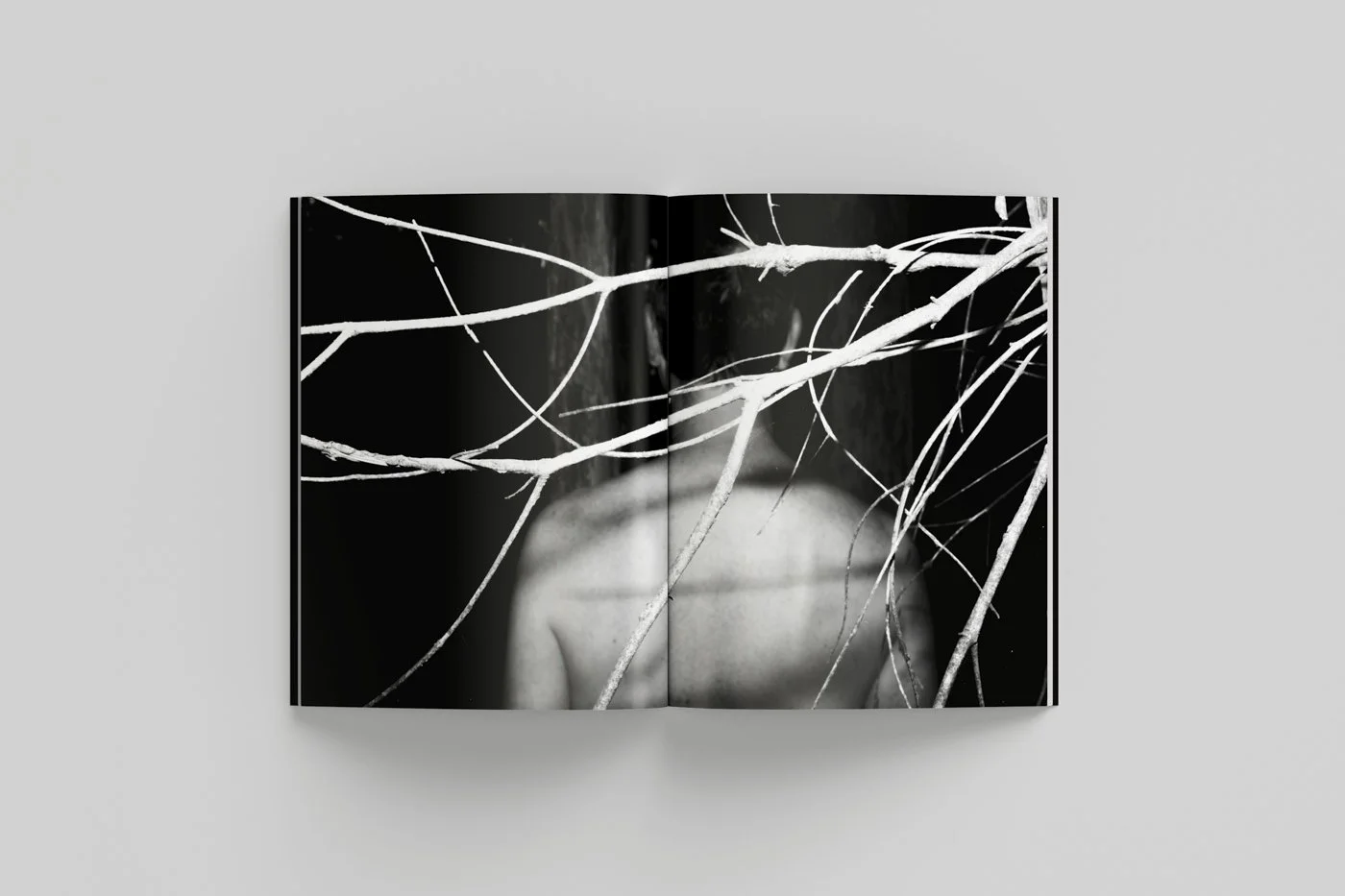 The Empty Nest Mockup 11.jpg