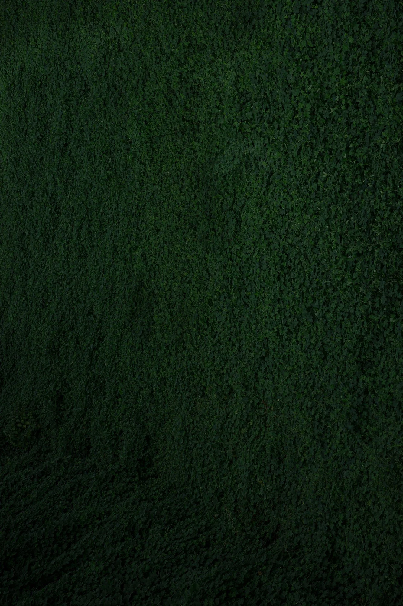 R0009119-10.jpg