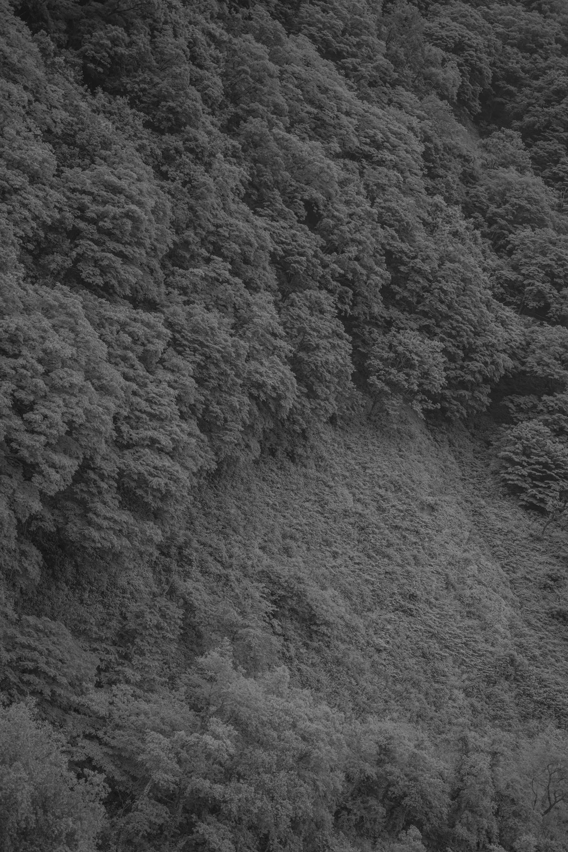 R0015548.jpg