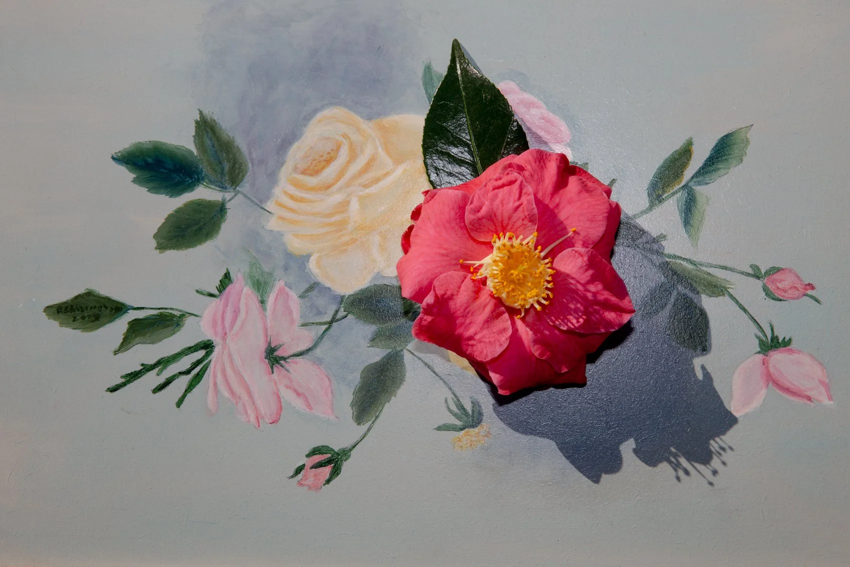 'Camellia' Private Collection