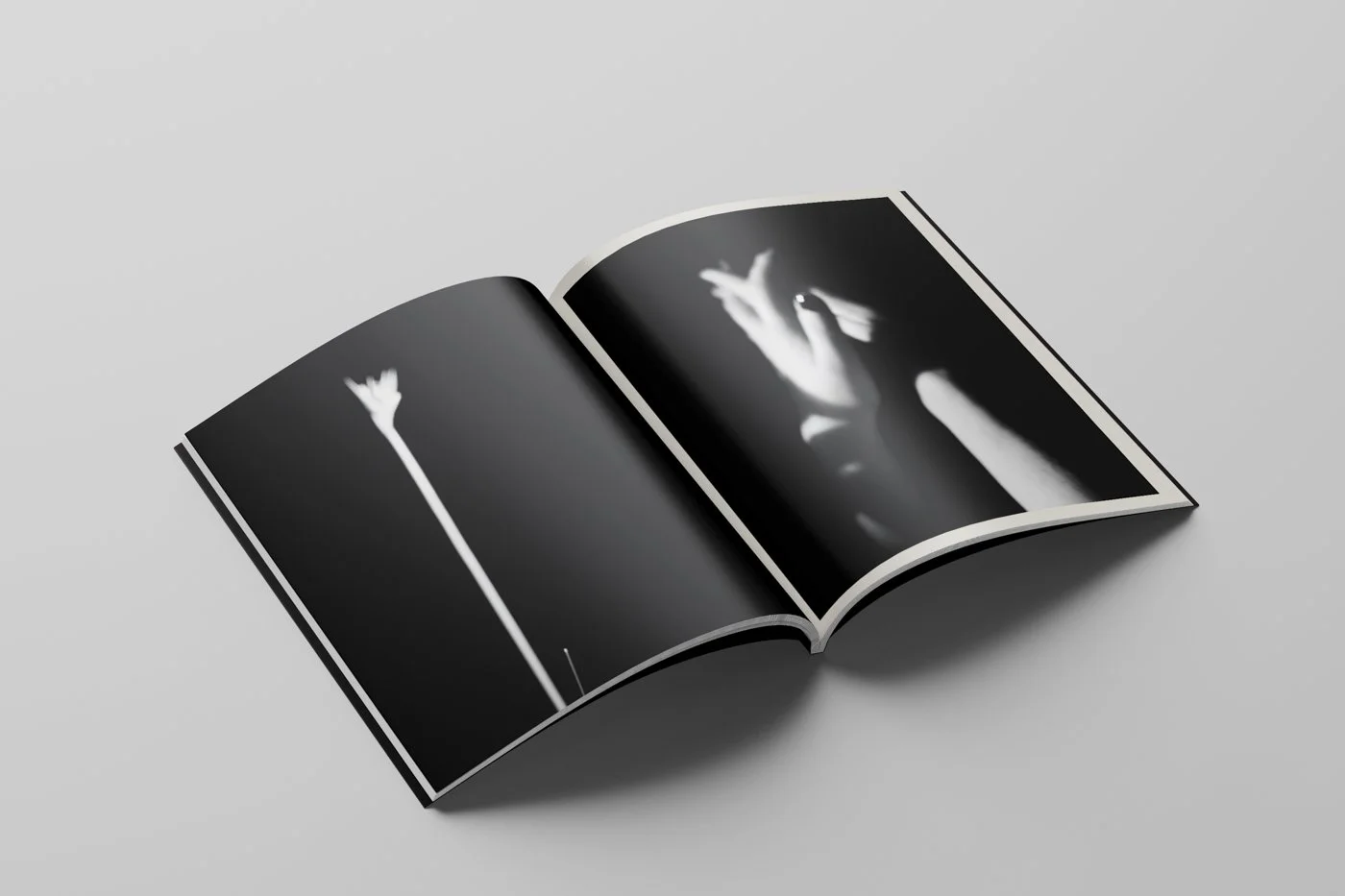 The Empty Nest Mockup 10.jpg