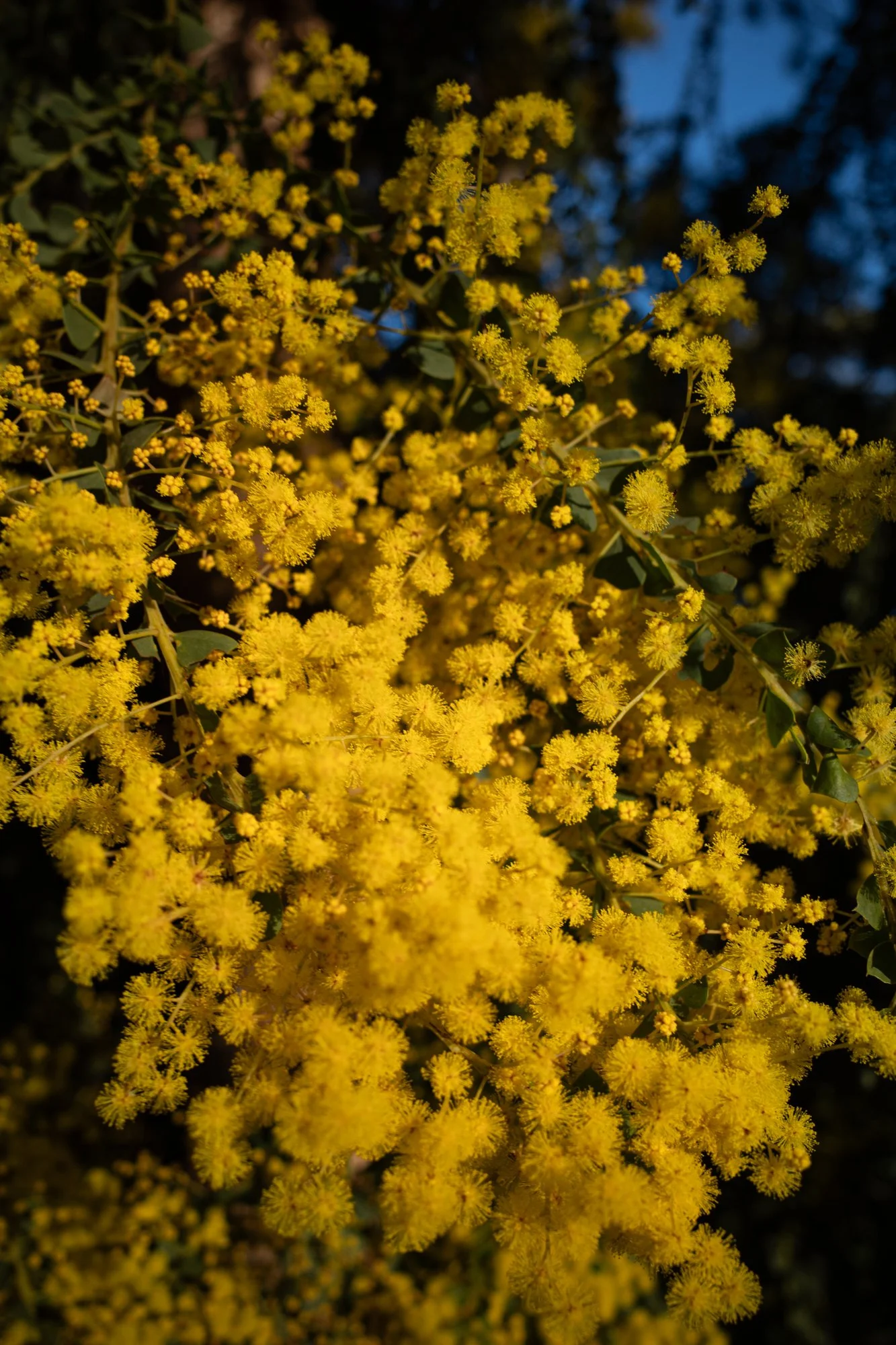 R0000590-8.jpg