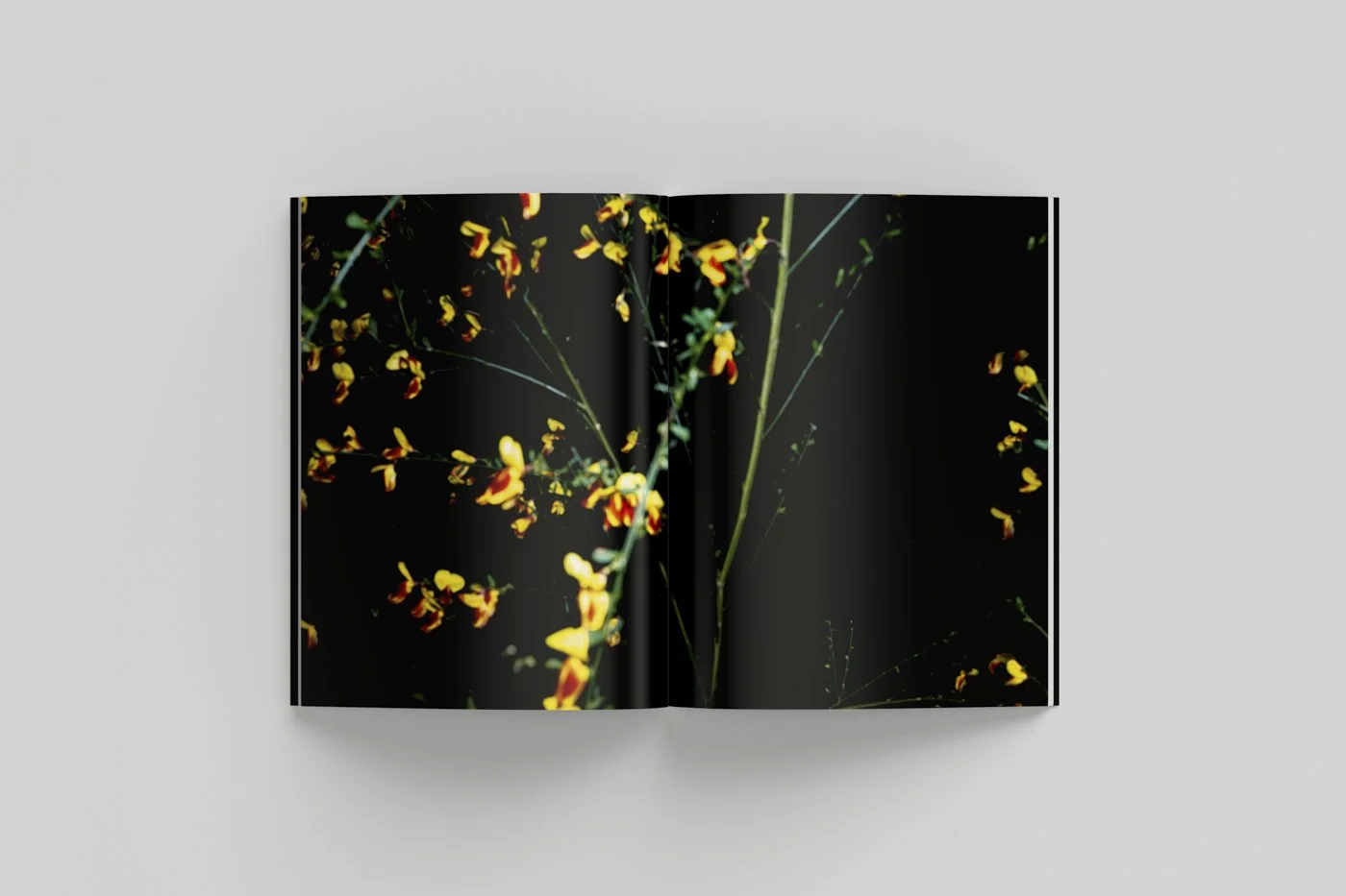 The Empty Nest Mockup 09.jpg