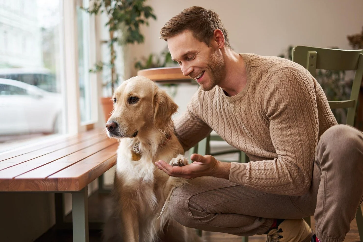 A man sitting on the floor petting a golden retriever puppy inside a cozy, sunlit room with plants and large windows.