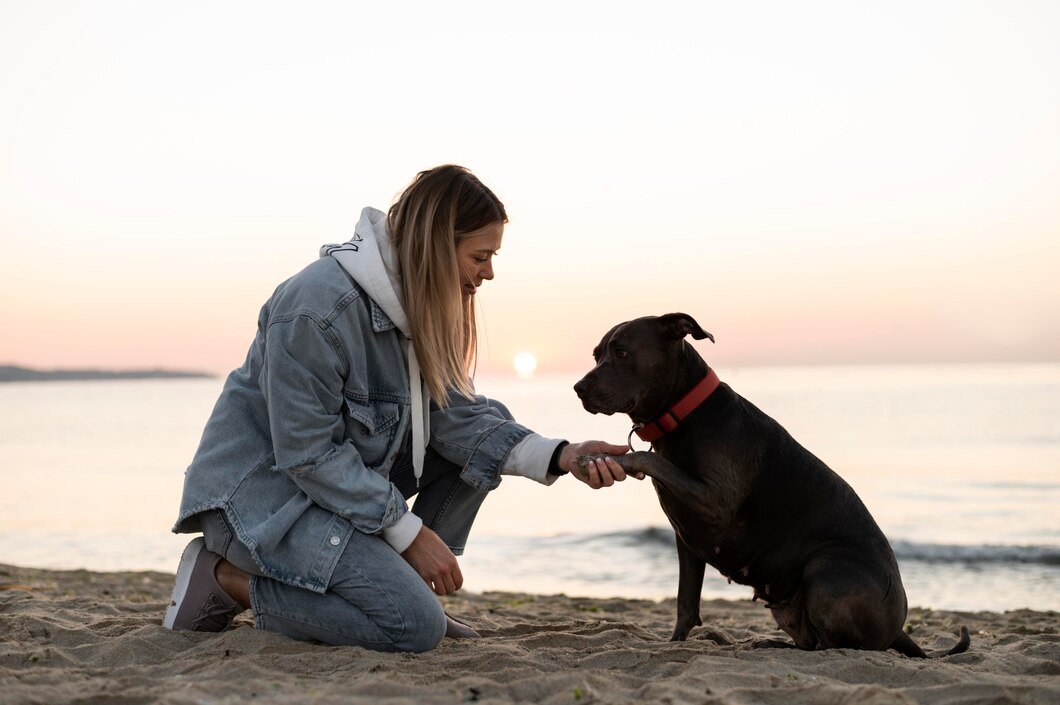 A woman kneeling on the beach holding hands with a black dog during sunset.