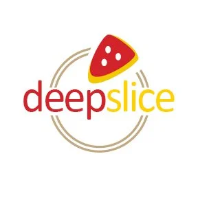 deepslice.jpg