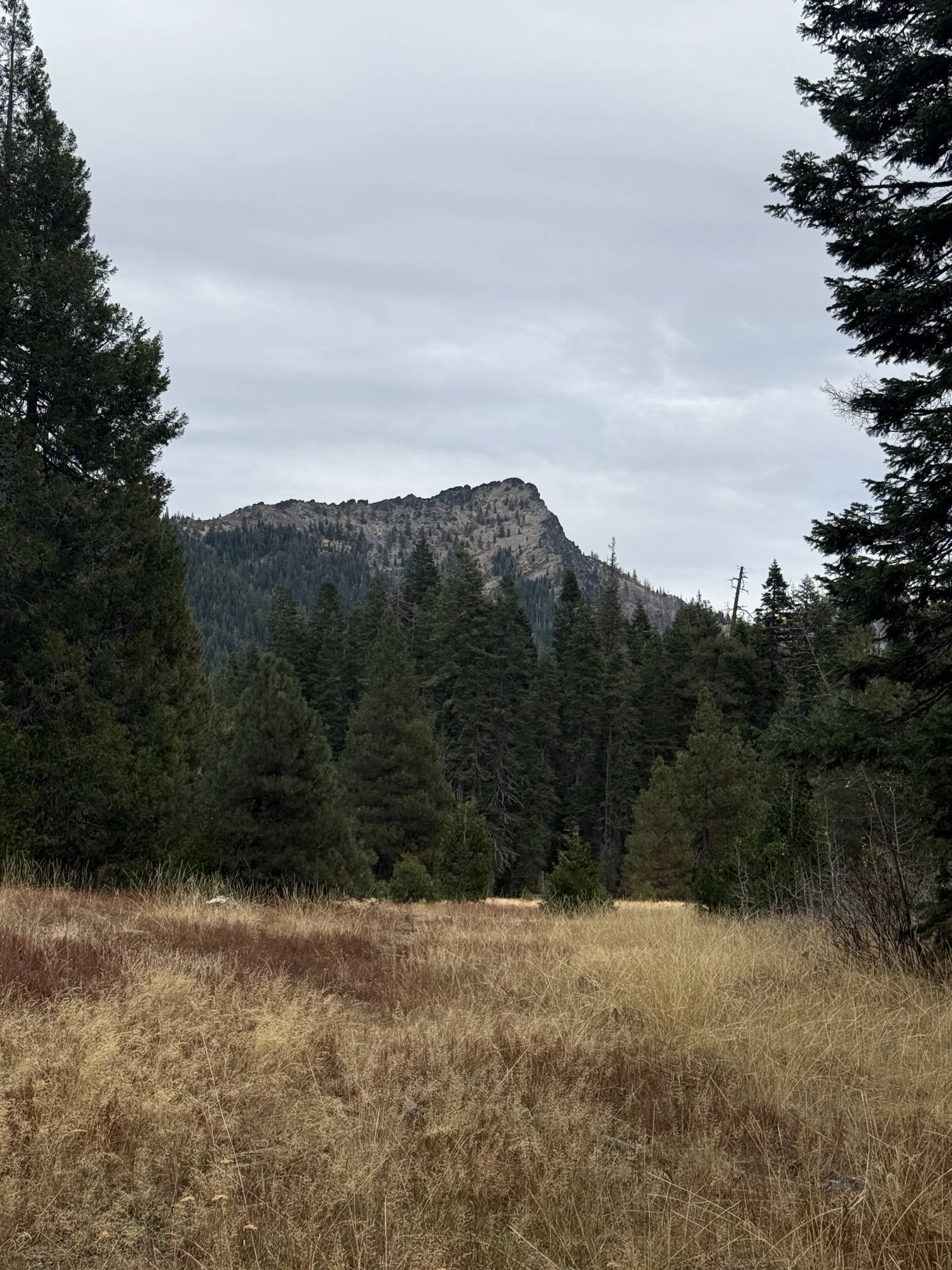 Hayes Meadows in October, golden grass and dark firs below a rocky peak