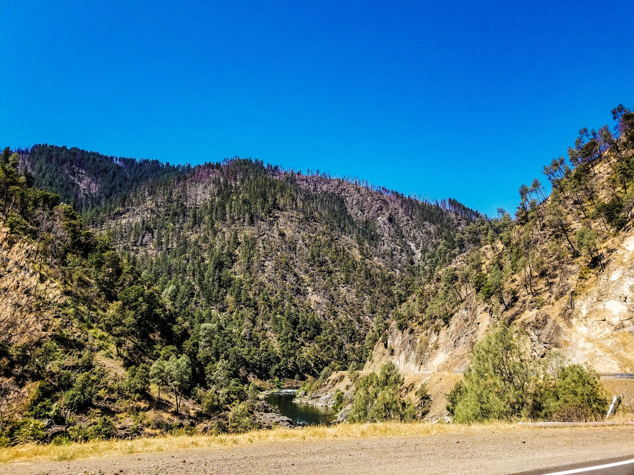 Forested mountains rising above a river canyon in Northern California's Klamath country
