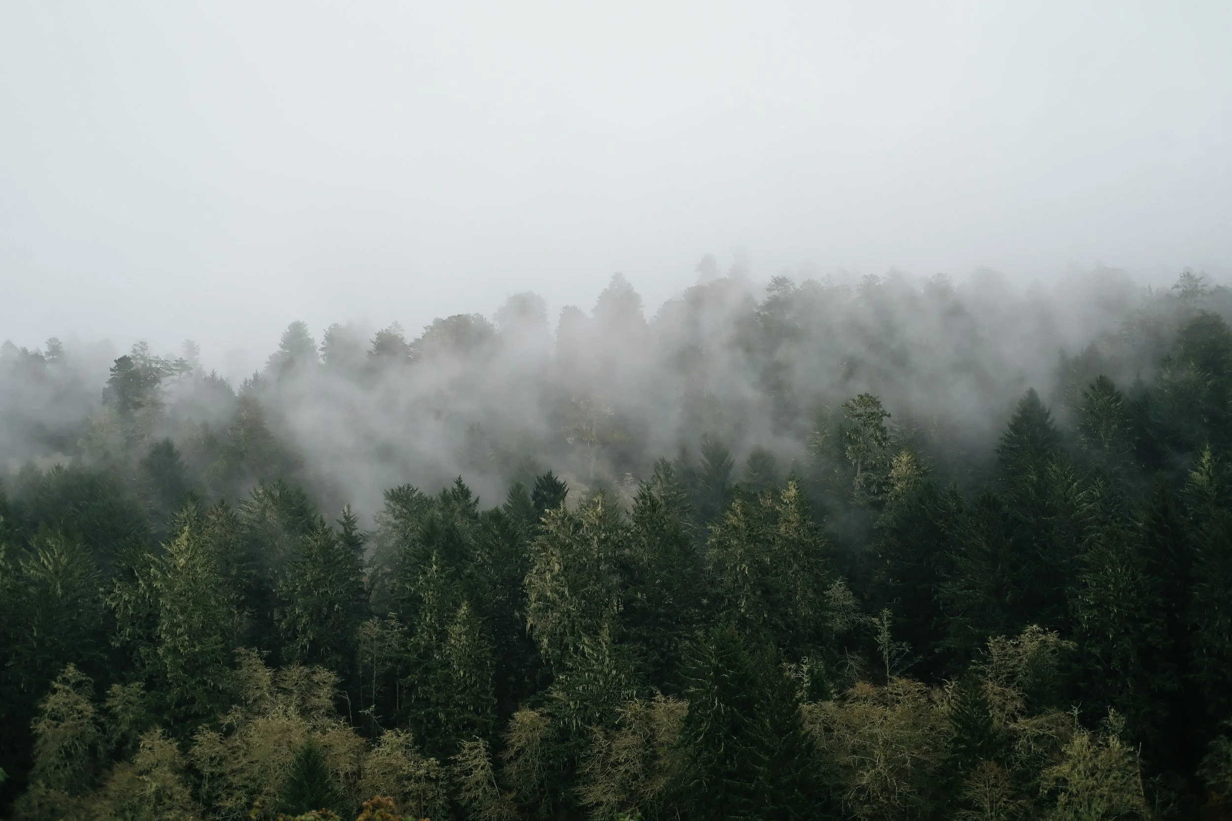 Whose land is this? The Shasta, Karuk and Quartz Valley peoples of Scott Valley