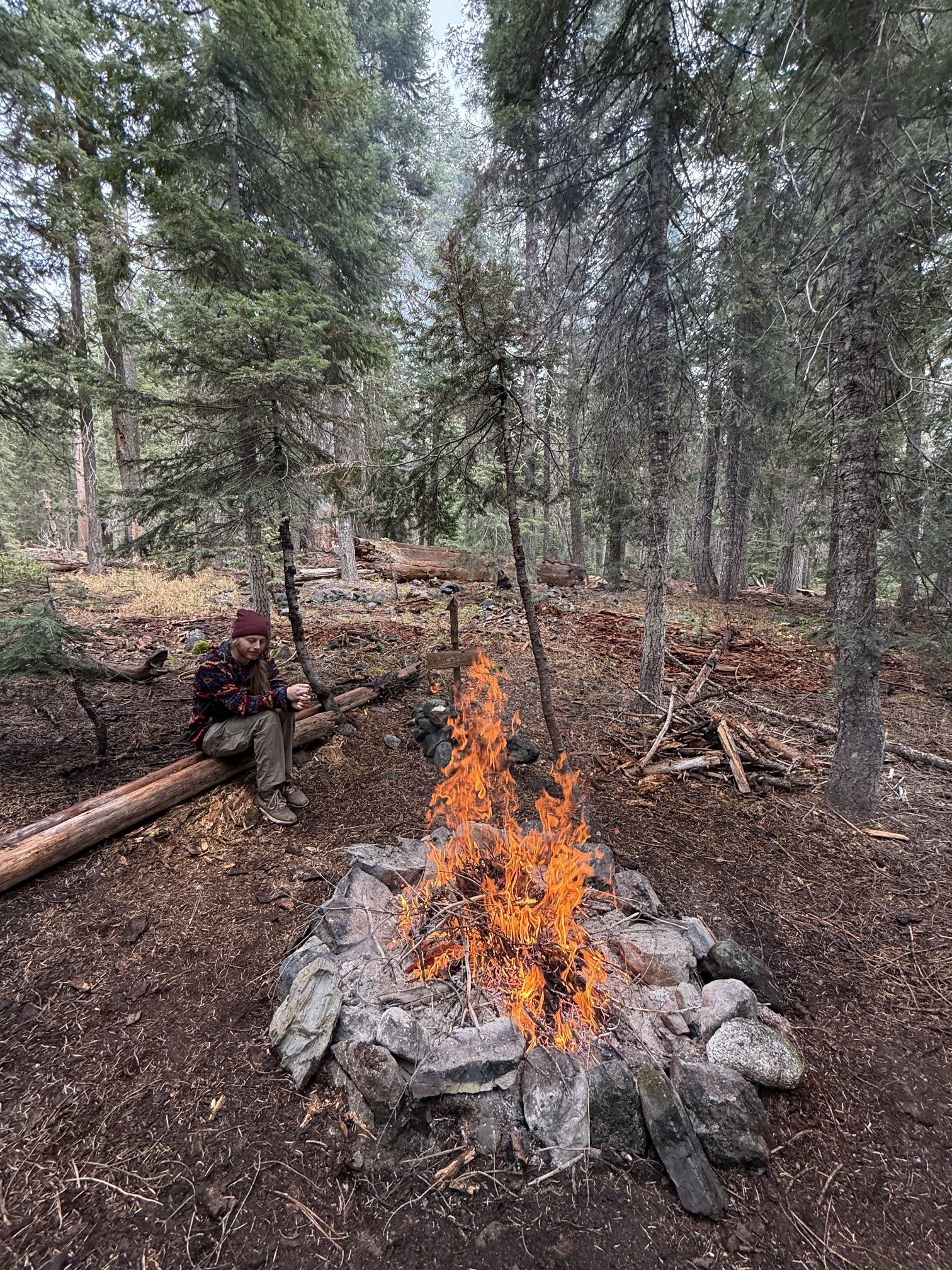 A campfire burning in its ring of stones at Hayes Meadows, with two figures sitting among the trees behind it