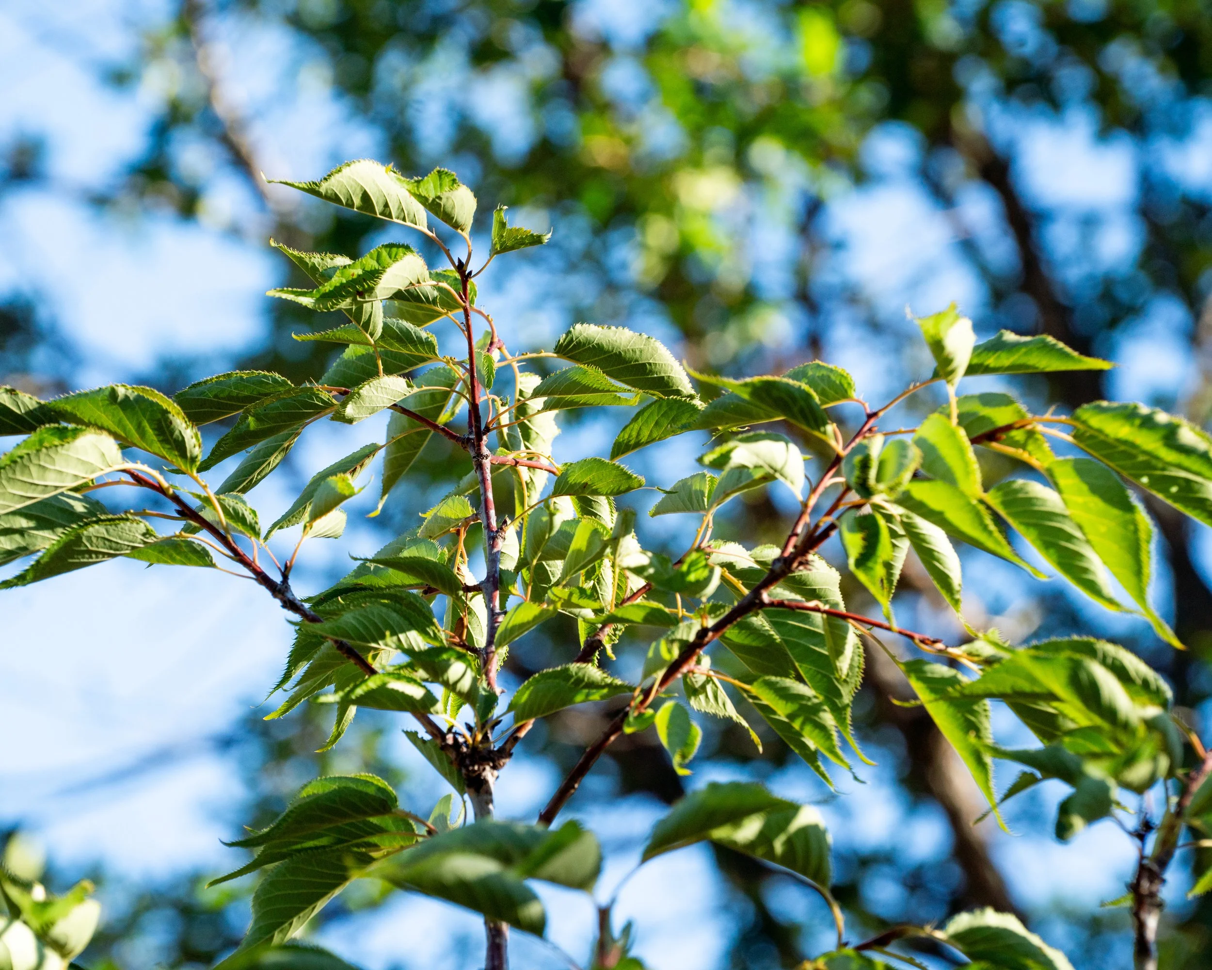 Let's Plan Your Destination Retreat