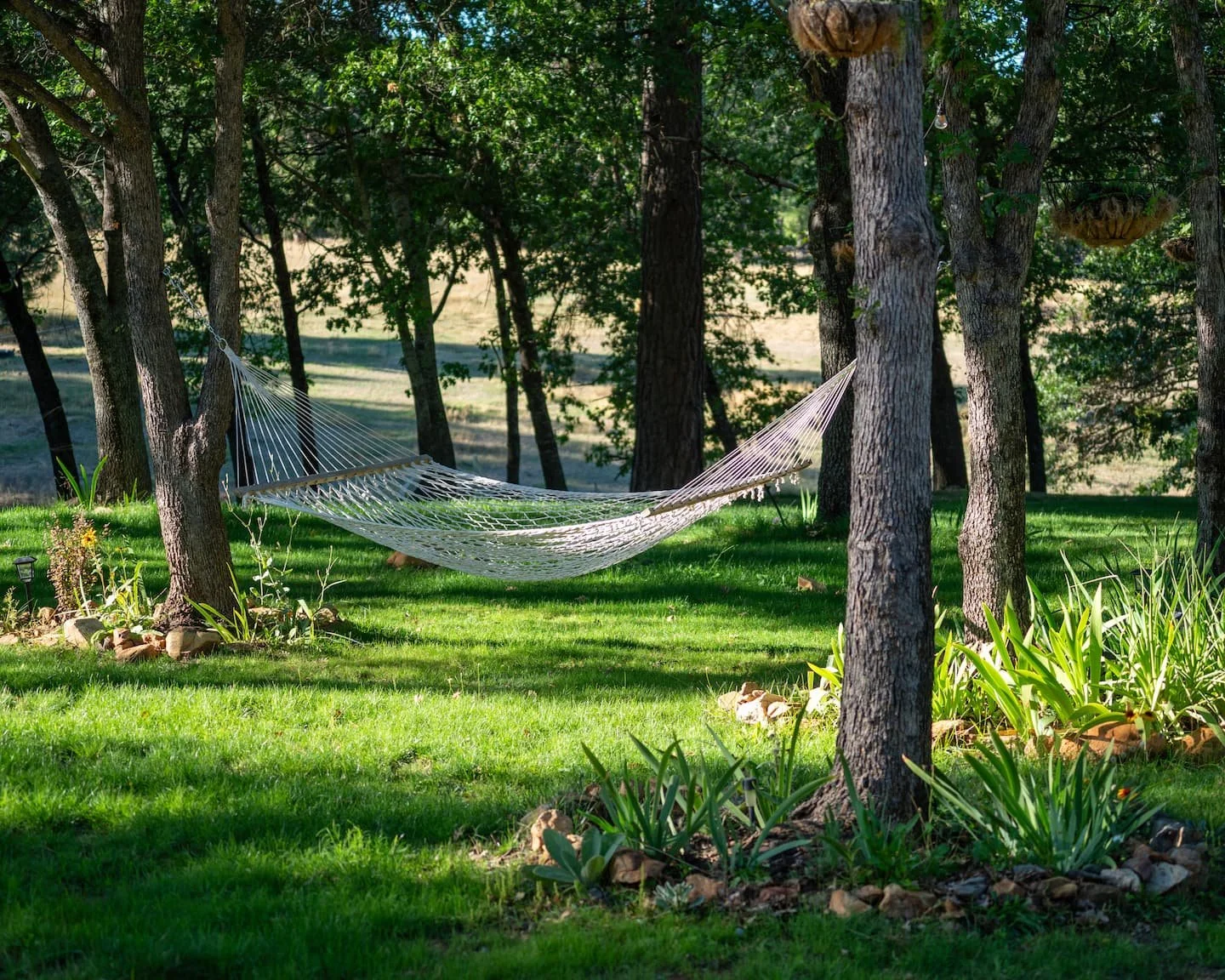 blossom-sanctuary-hammock.jpg