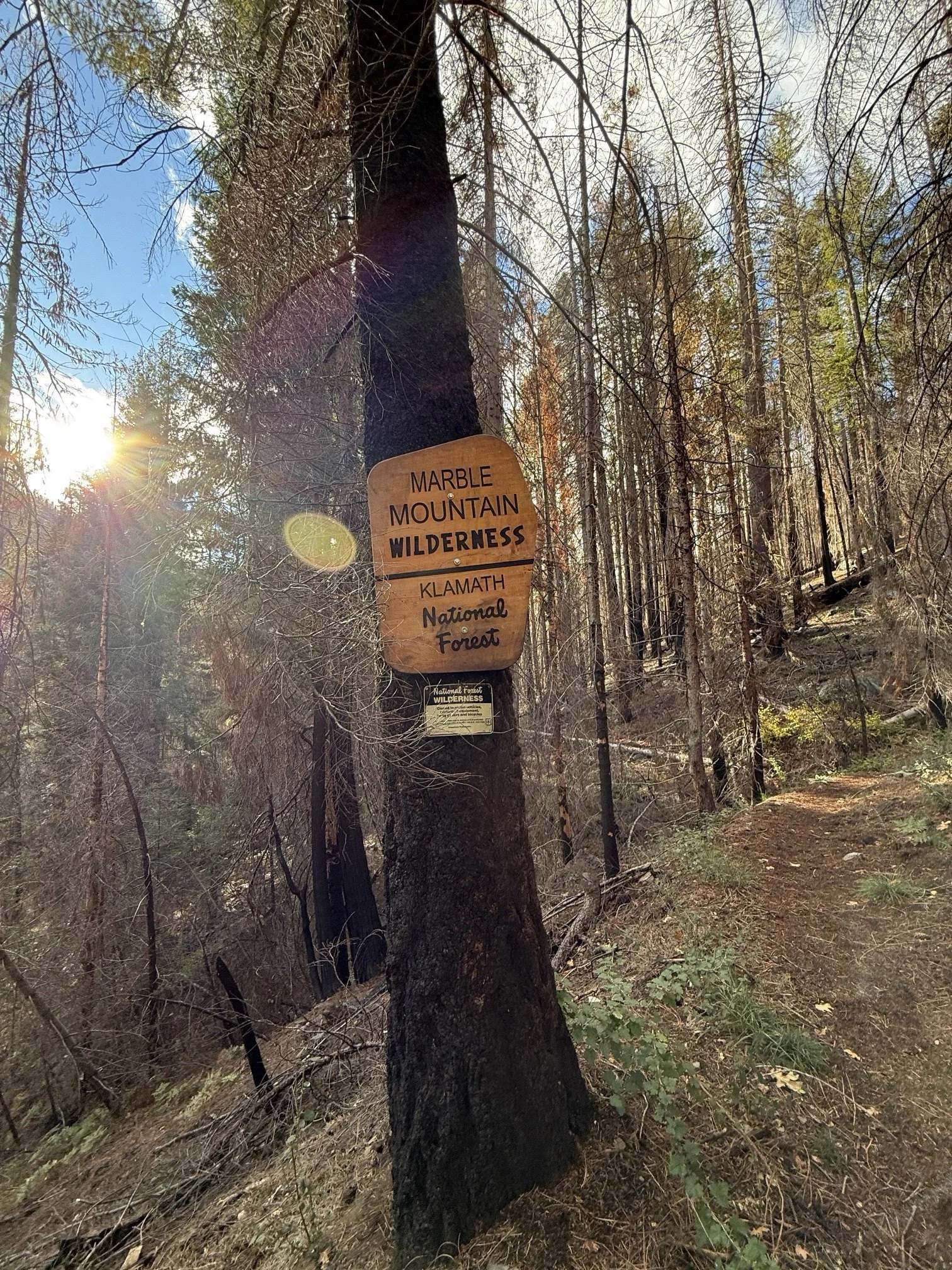 The Marble Mountain Wilderness sign on a burned tree beside the trail