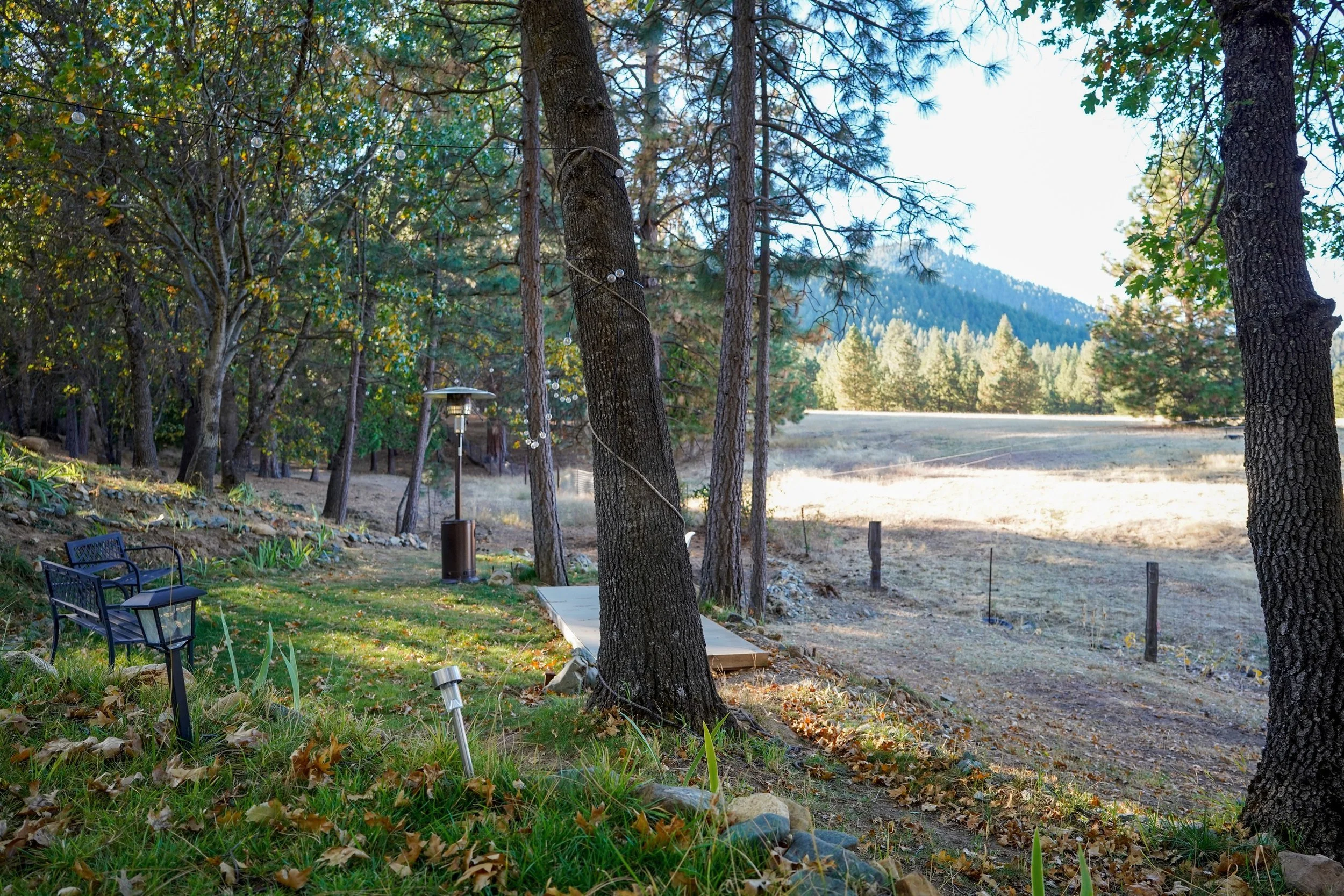 Tall pines and oaks with mountains beyond at Blossom Sanctuary, a private retreat in Etna an hour from Mount Shasta