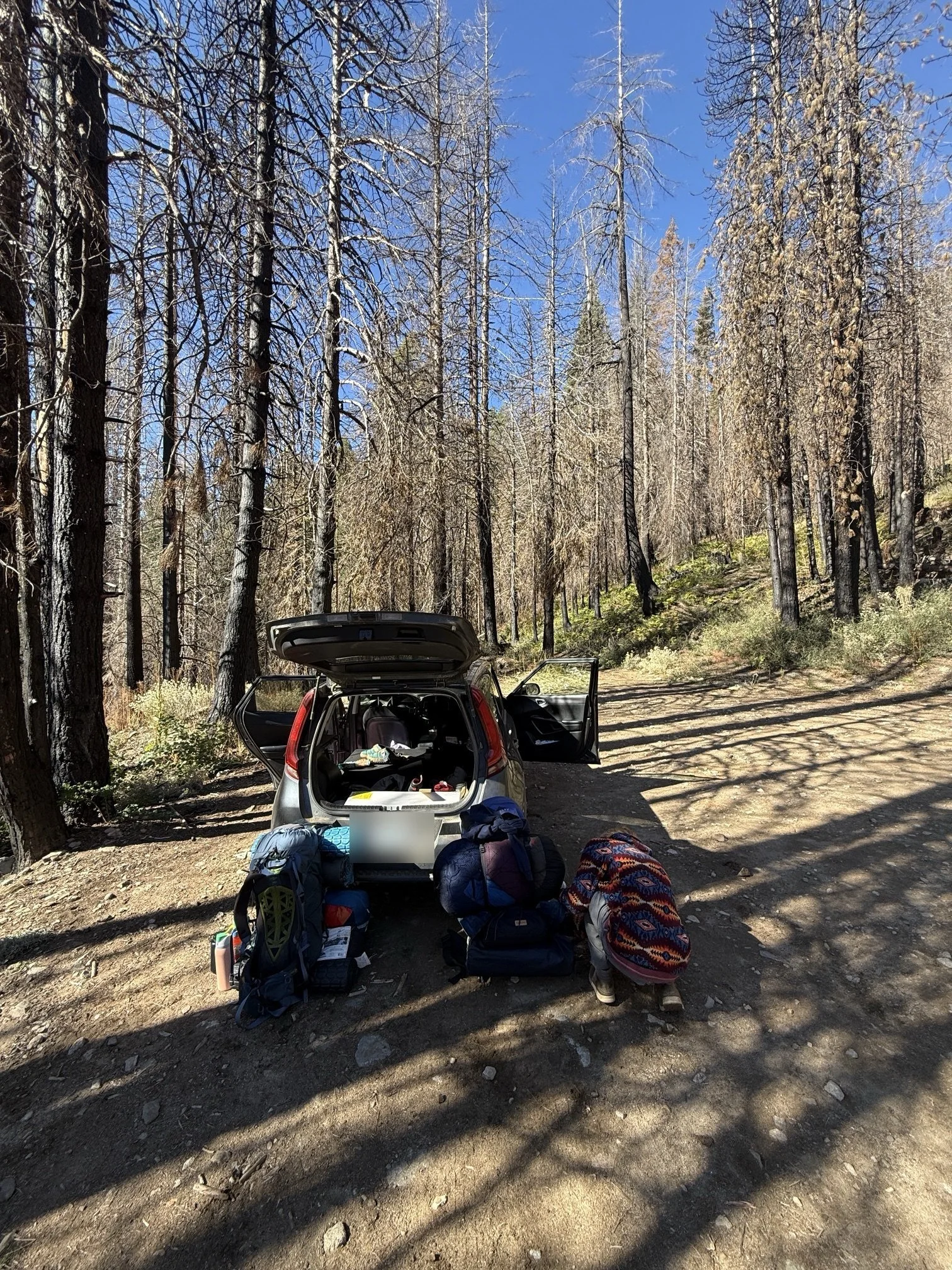Unloading gear at the trailhead under a blue sky, surrounded by fire-scarred trees