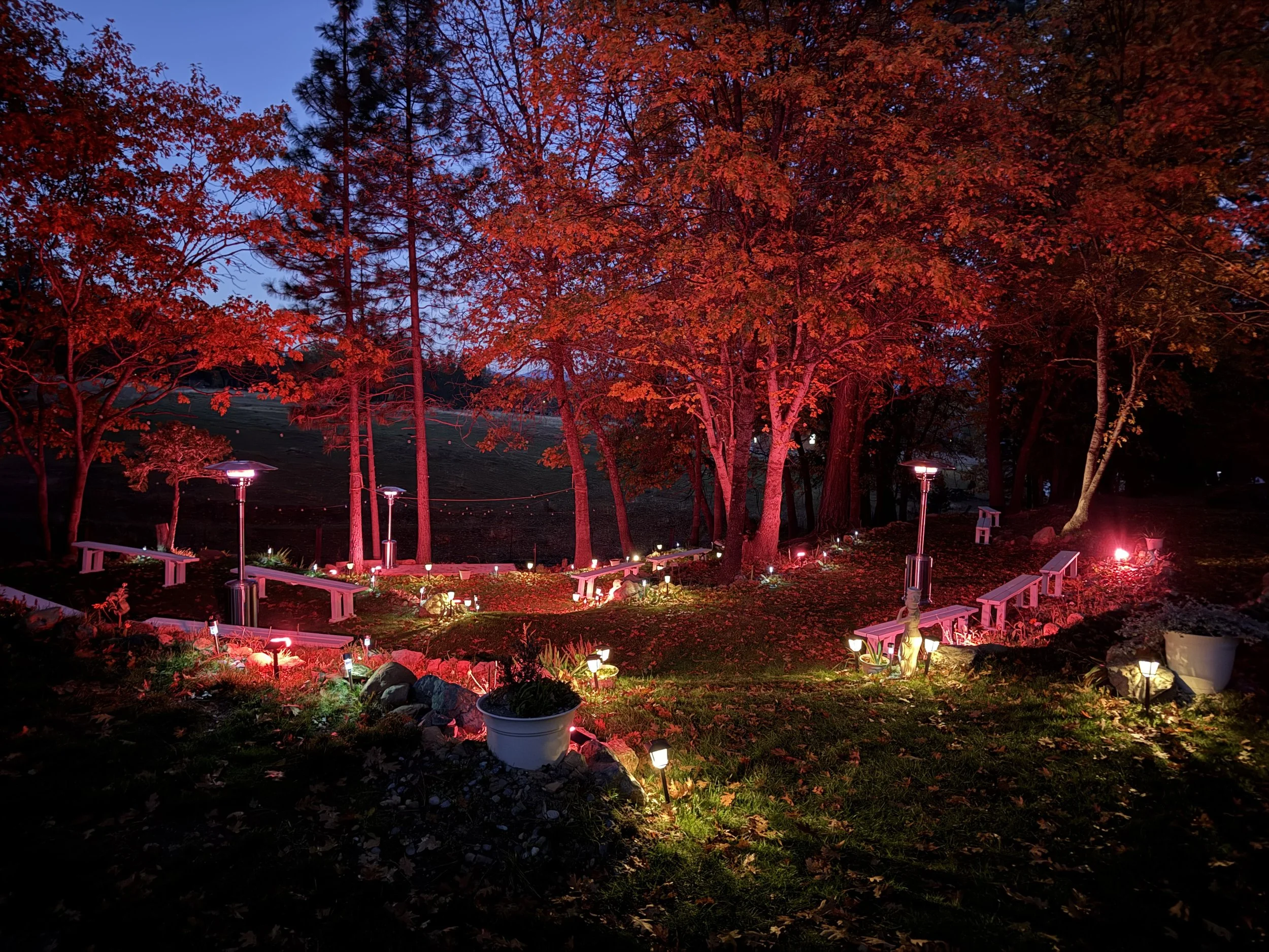 Nighttime scene of a garden with trees, illuminated by pink and white lights, featuring benches, potted plants, and decorative statues.