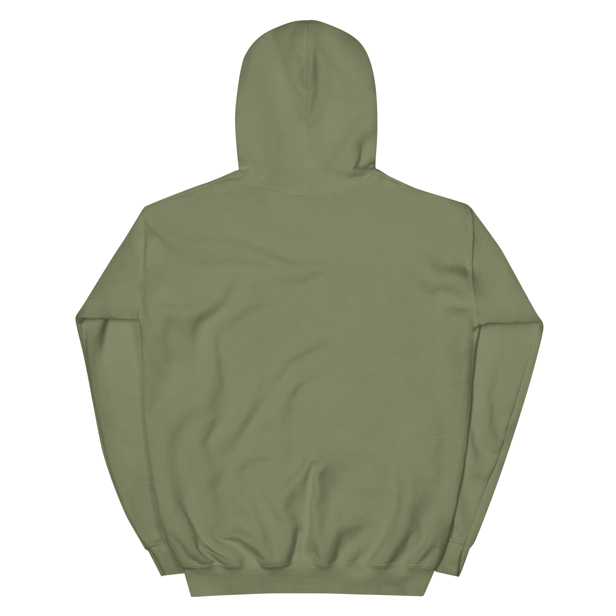 unisex-heavy-blend-hoodie-military-green-back-69a22e477507f.png