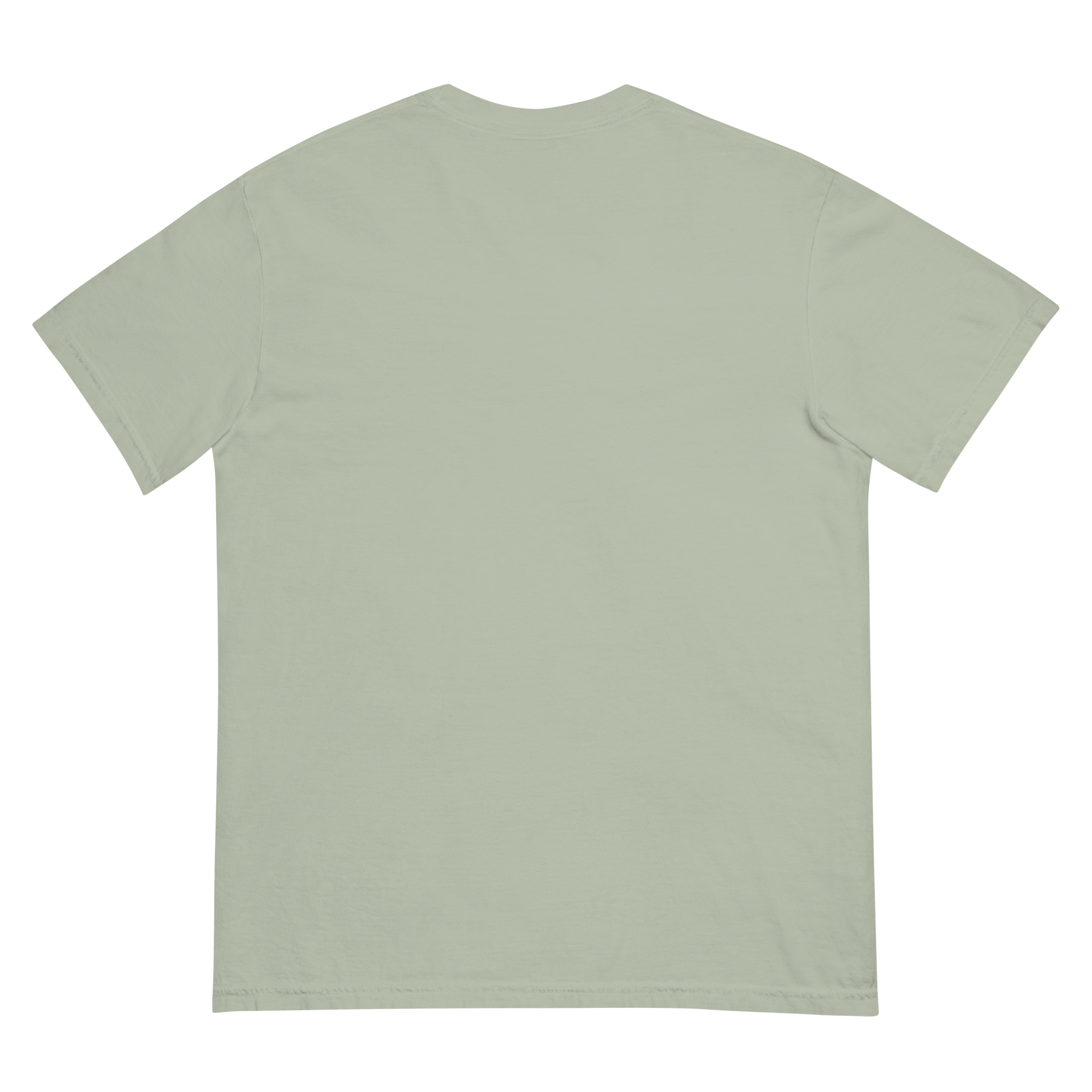unisex-garment-dyed-heavyweight-t-shirt-bay-back-6a5eed1a664b1.png