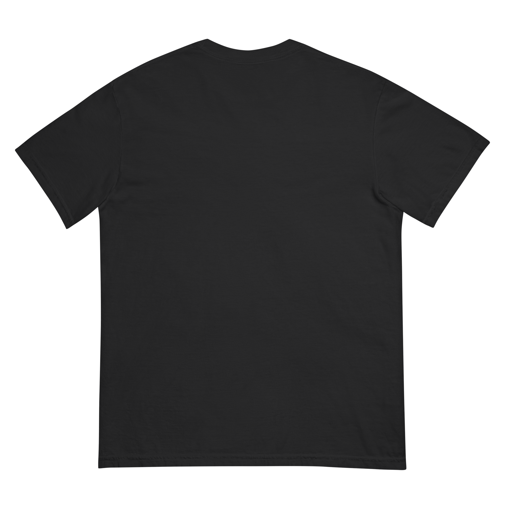 unisex-garment-dyed-heavyweight-t-shirt-black-back-6a6694245c785.png