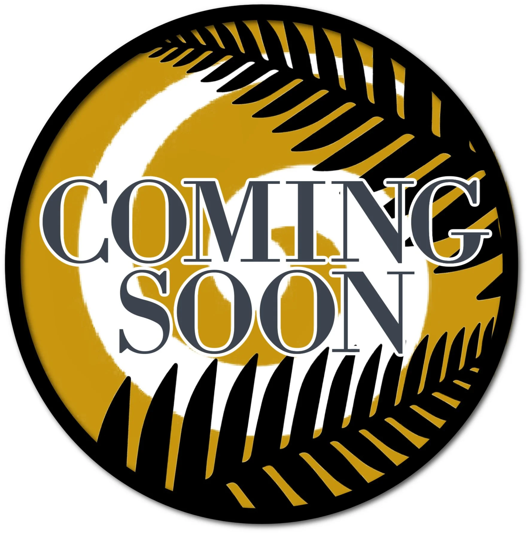 8 WEEK ATHLETIC FOUNDATIONS PROGRAM