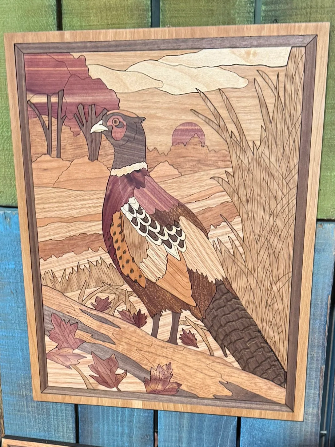 Pheasant in the Field