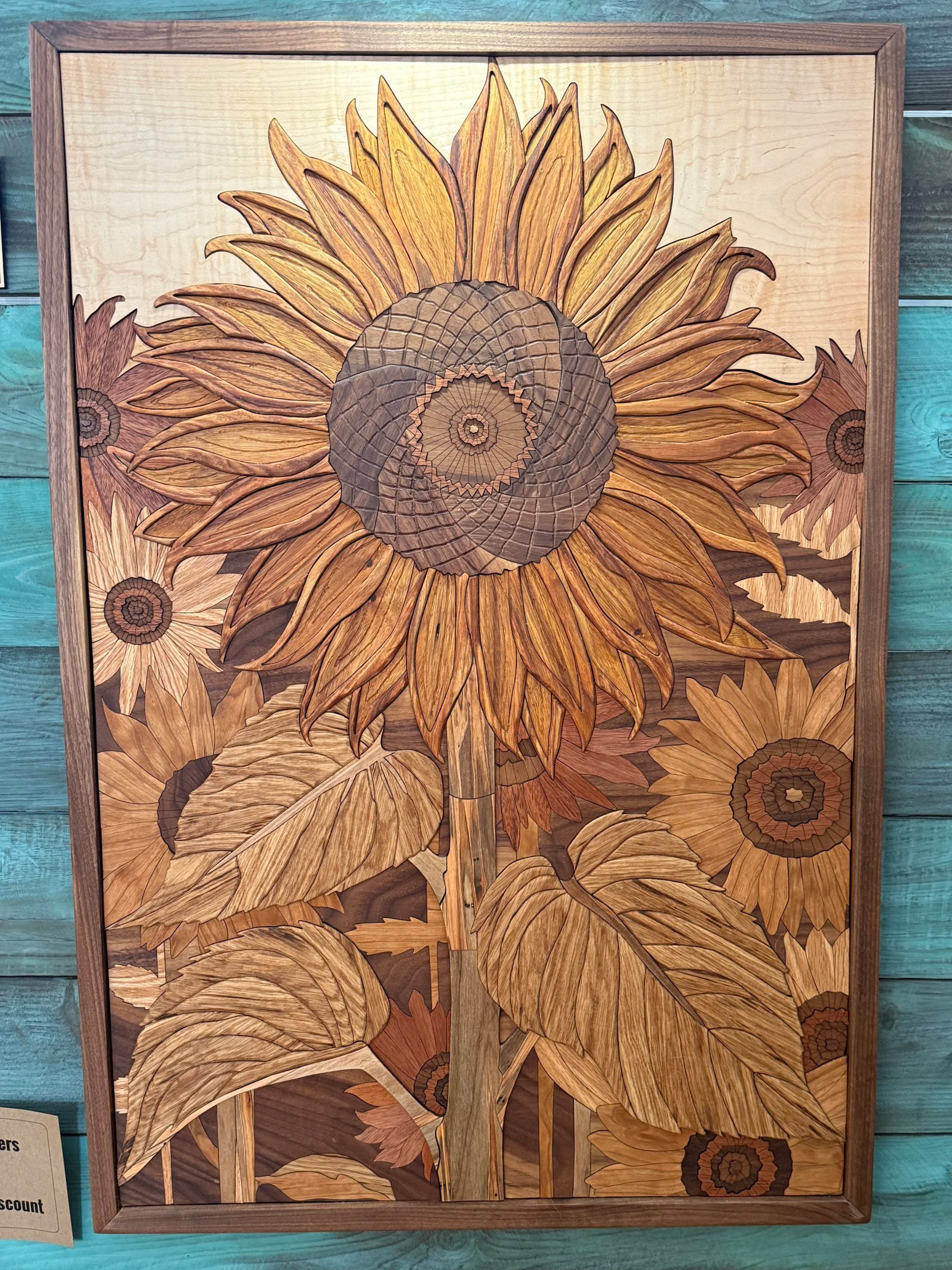 Sunflower Fields