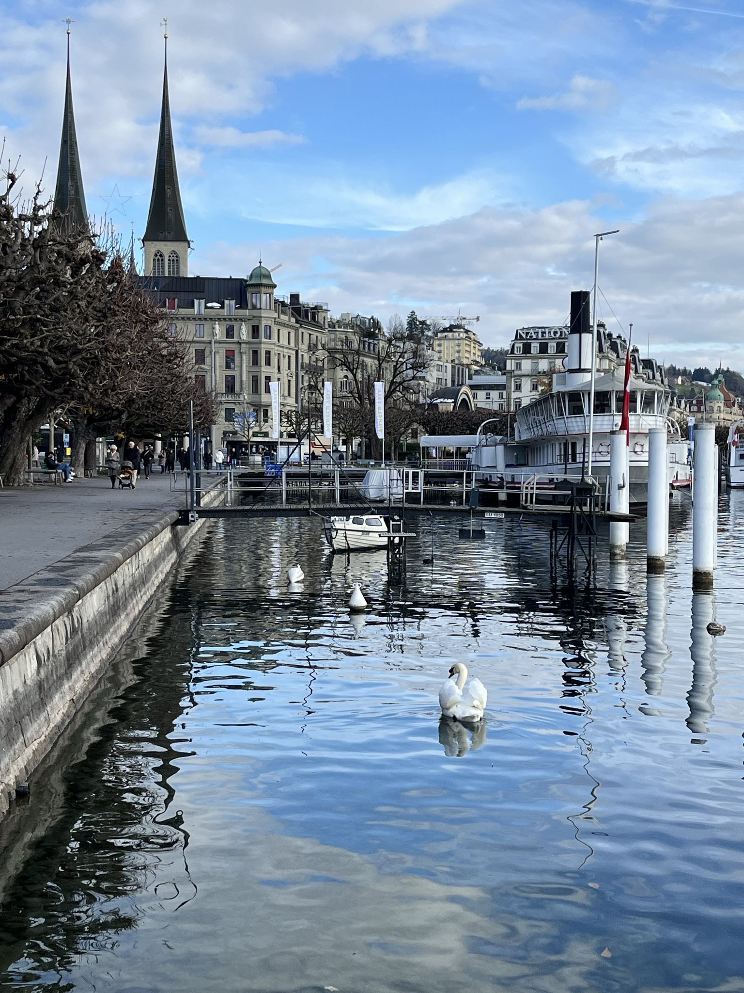 A waterfront scene with swans swimming in the water, sailboats docked, a promenade with people walking, and historic buildings with tall church spires in the background under a partly cloudy sky.
