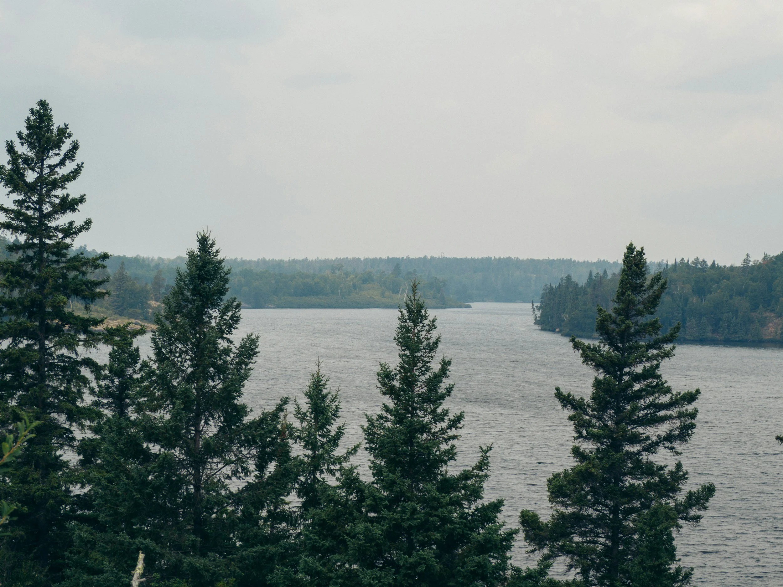 A view of a river surrounded by dense green trees under a cloudy sky.