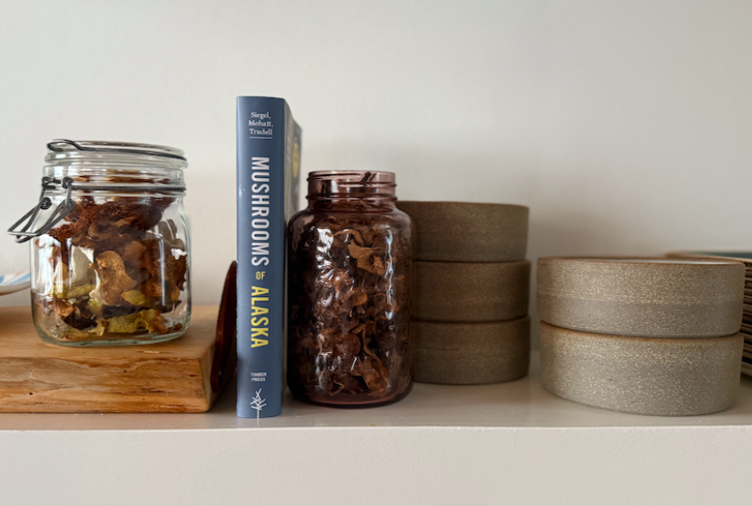 Screen Shot 2026-02-04 at 11.40.55 AM.png