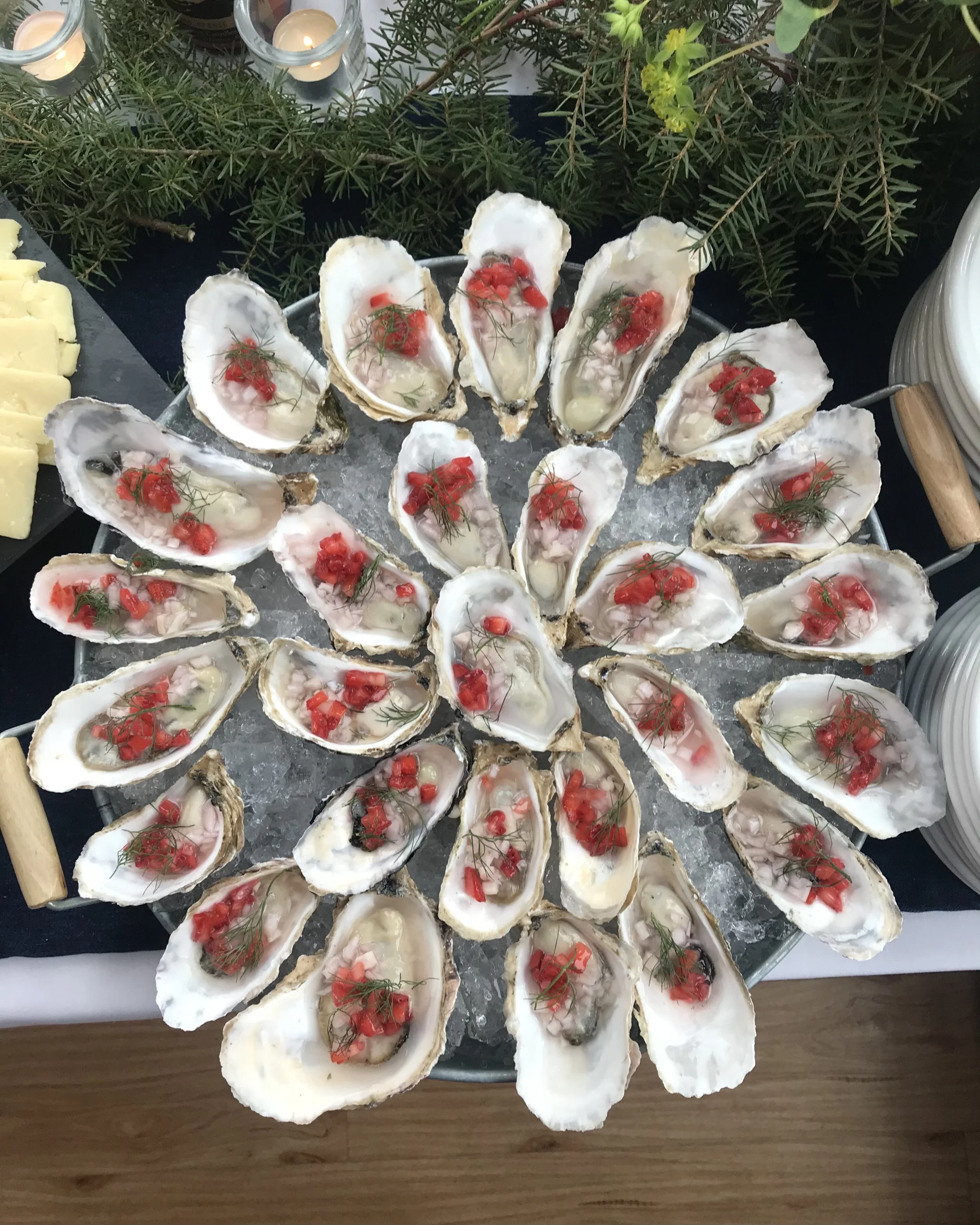A platter of raw oysters on ice garnished with red diced peppers and dill sprigs. Alaskan oysters, raw oysters 
Alaskan seafood. Wild alaskan seafood. 