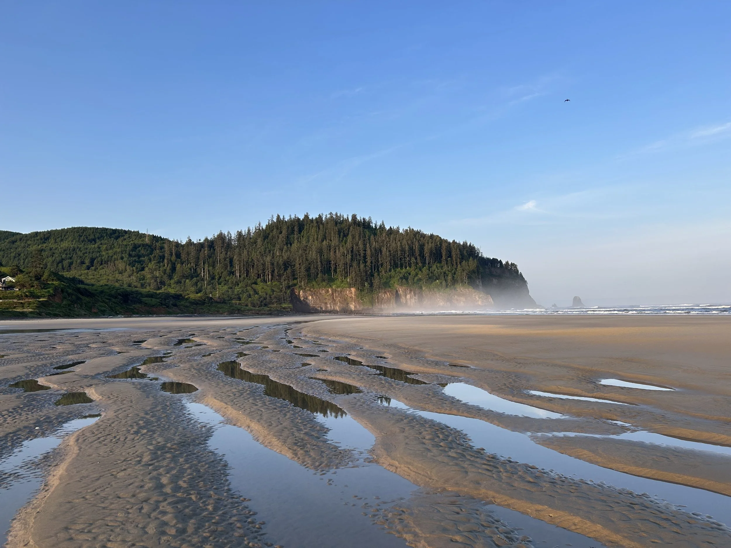 Why eating disorders are not just about food:  they are about connection.