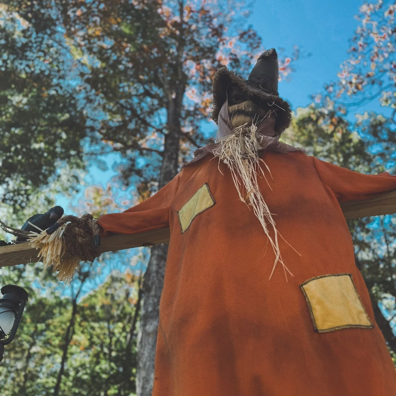 18CA8545-06C2-4ADE-8103-3D48927F87BB 3.jpeg