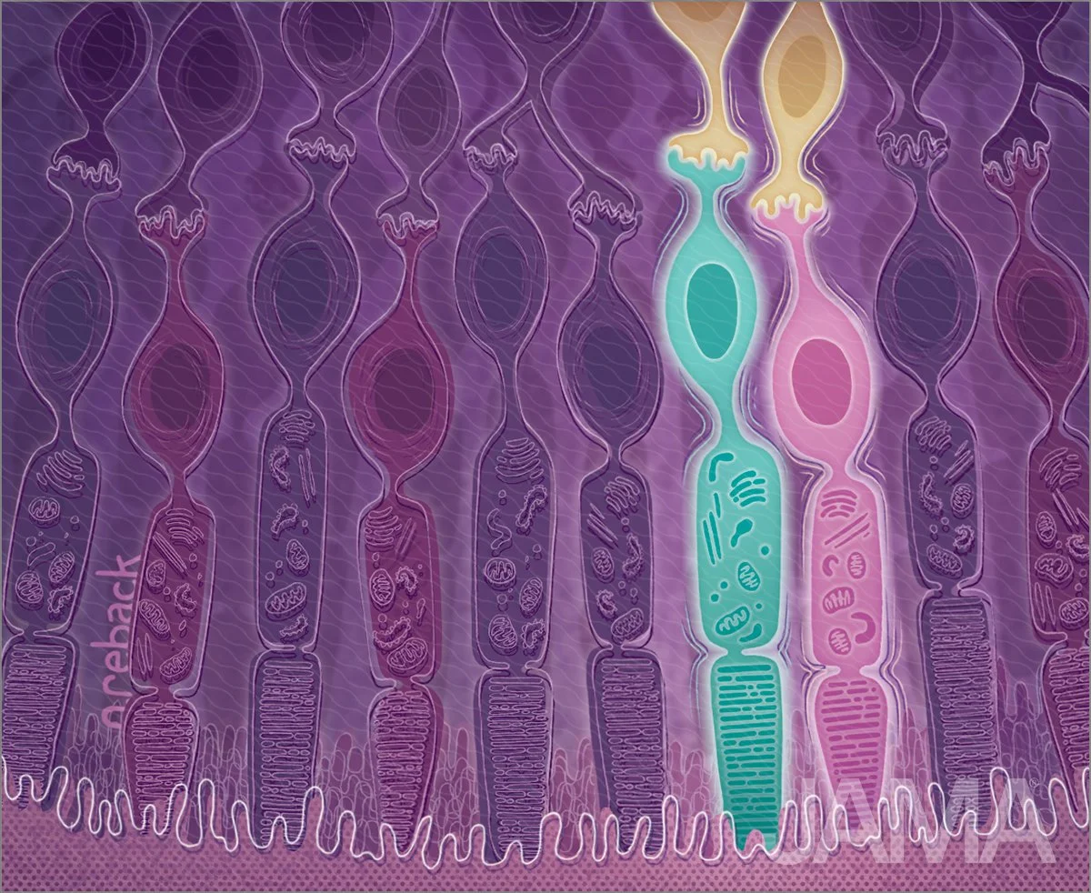 With first CRISPR trials, gene editing moves toward the clinic
