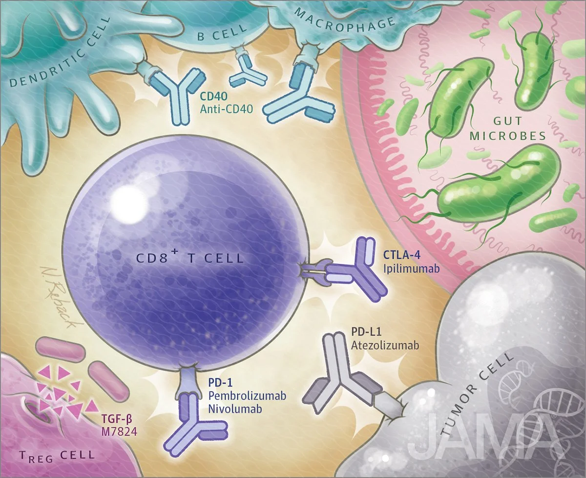 Immunotherapy 2.0: improving checkpoint inhibitors