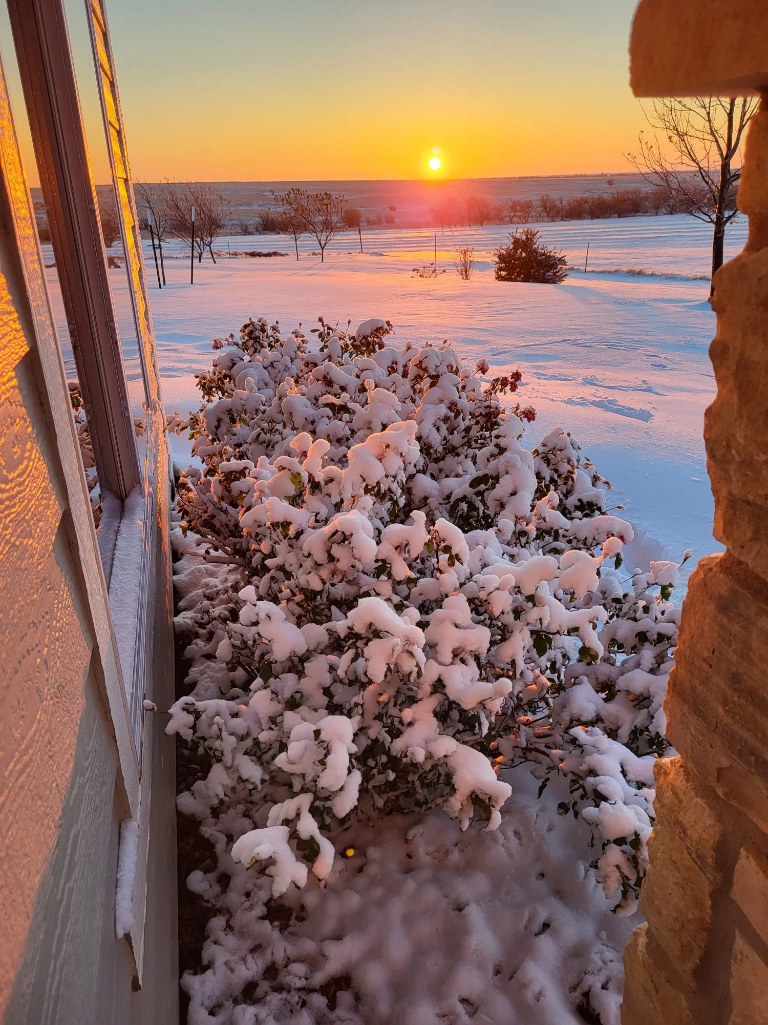 Winter has arrived on Windyridge