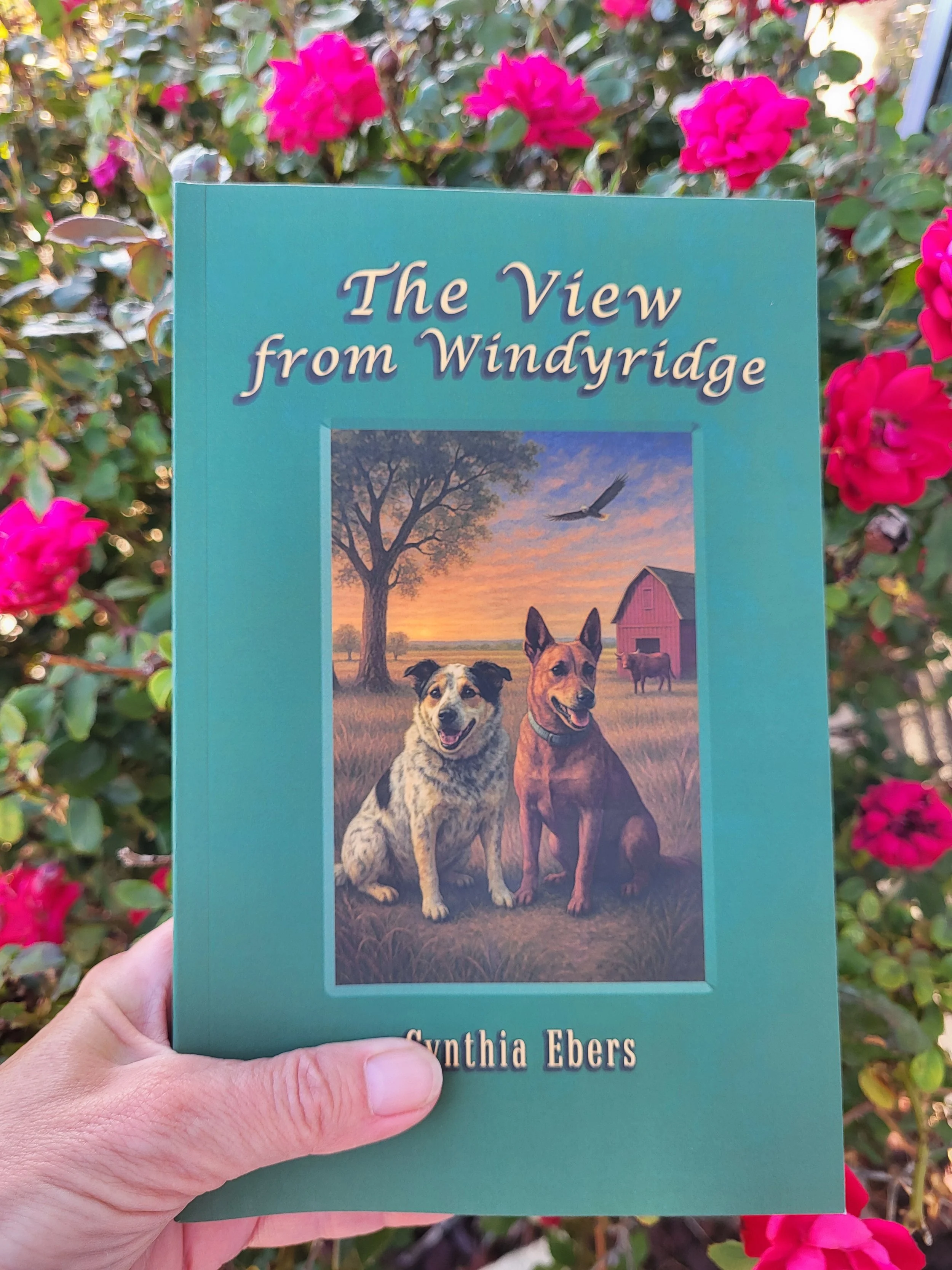 Now Available! Book One