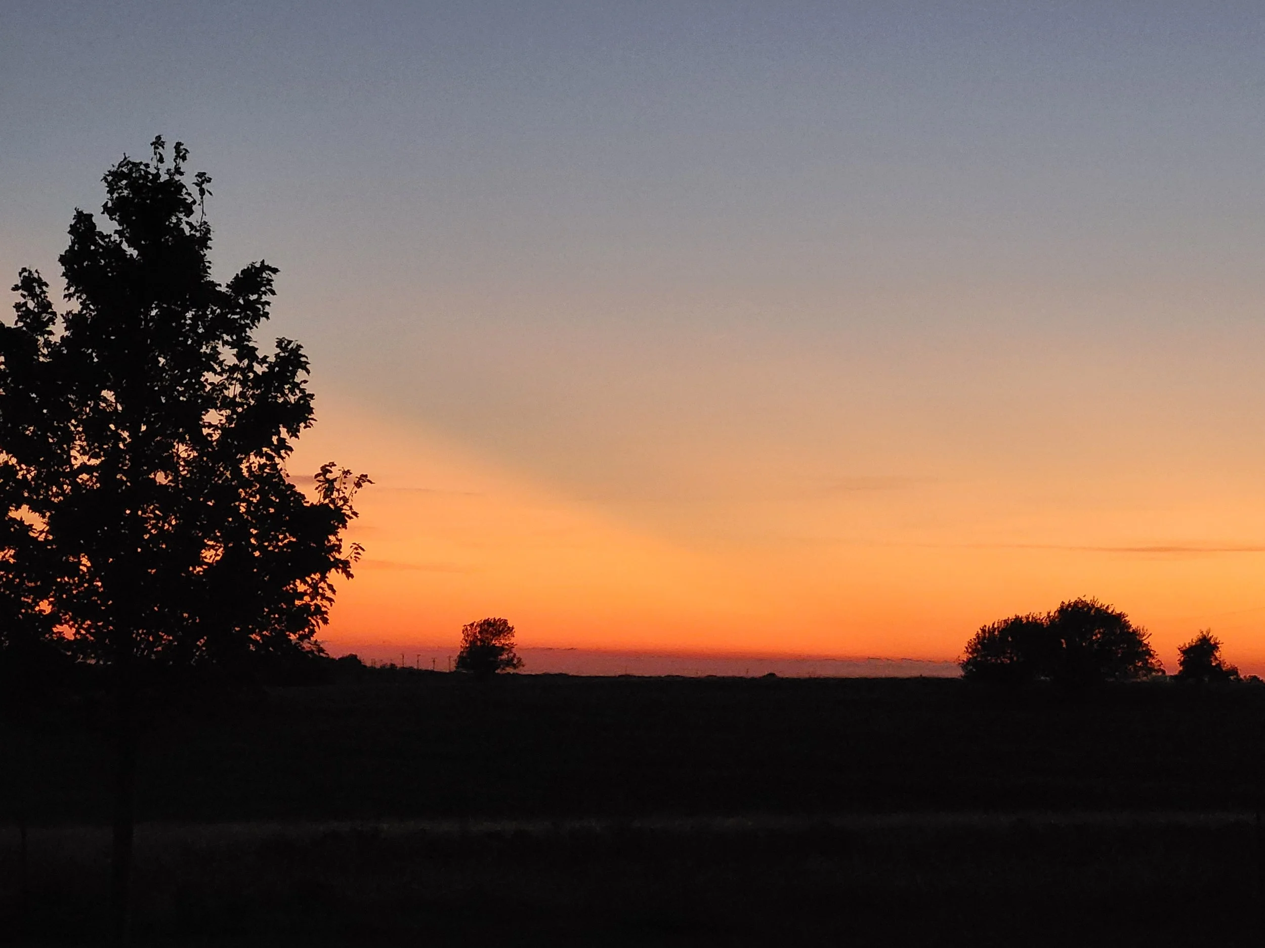 20260817_205044.jpg