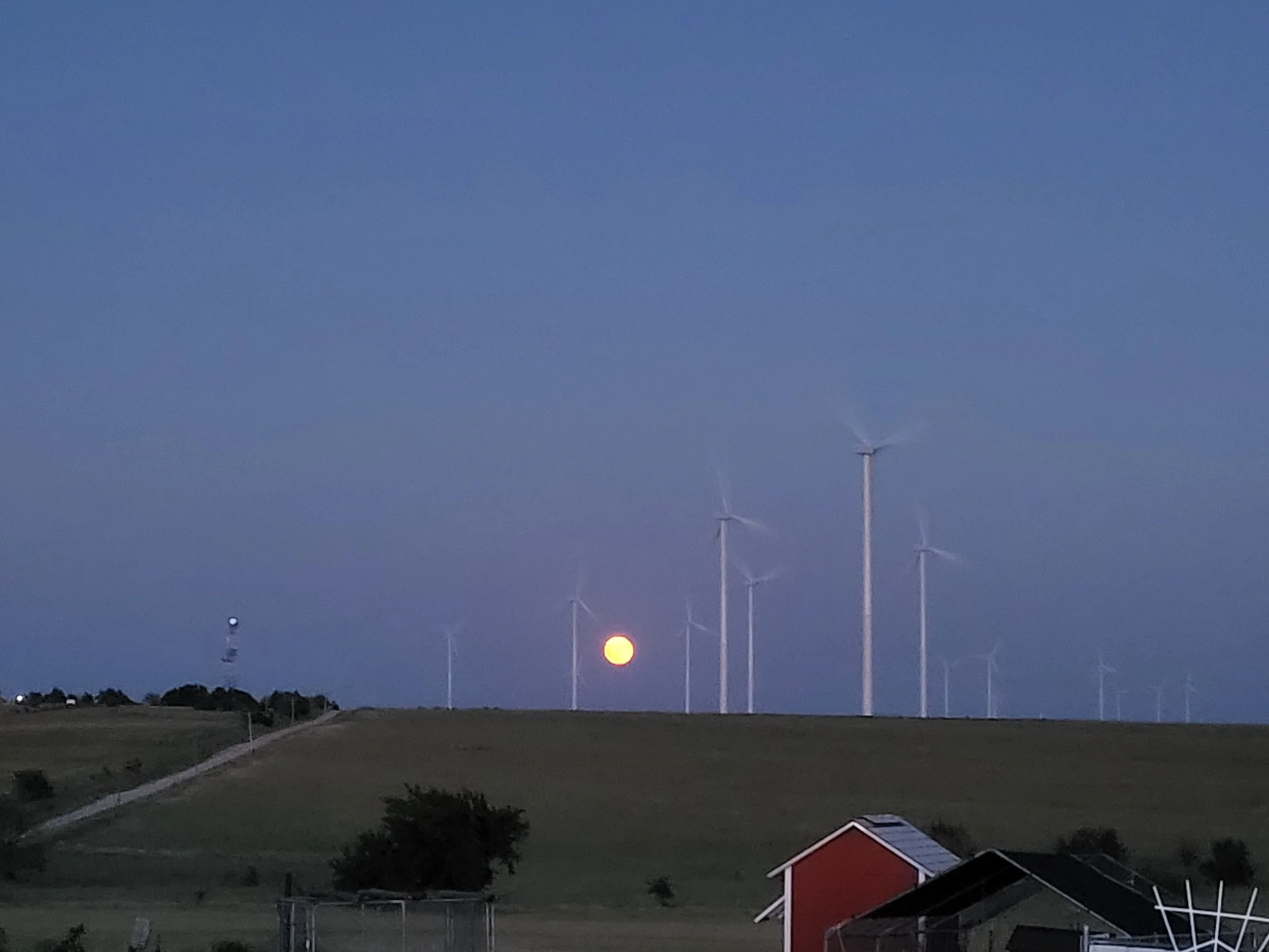 20260828_202935.jpg