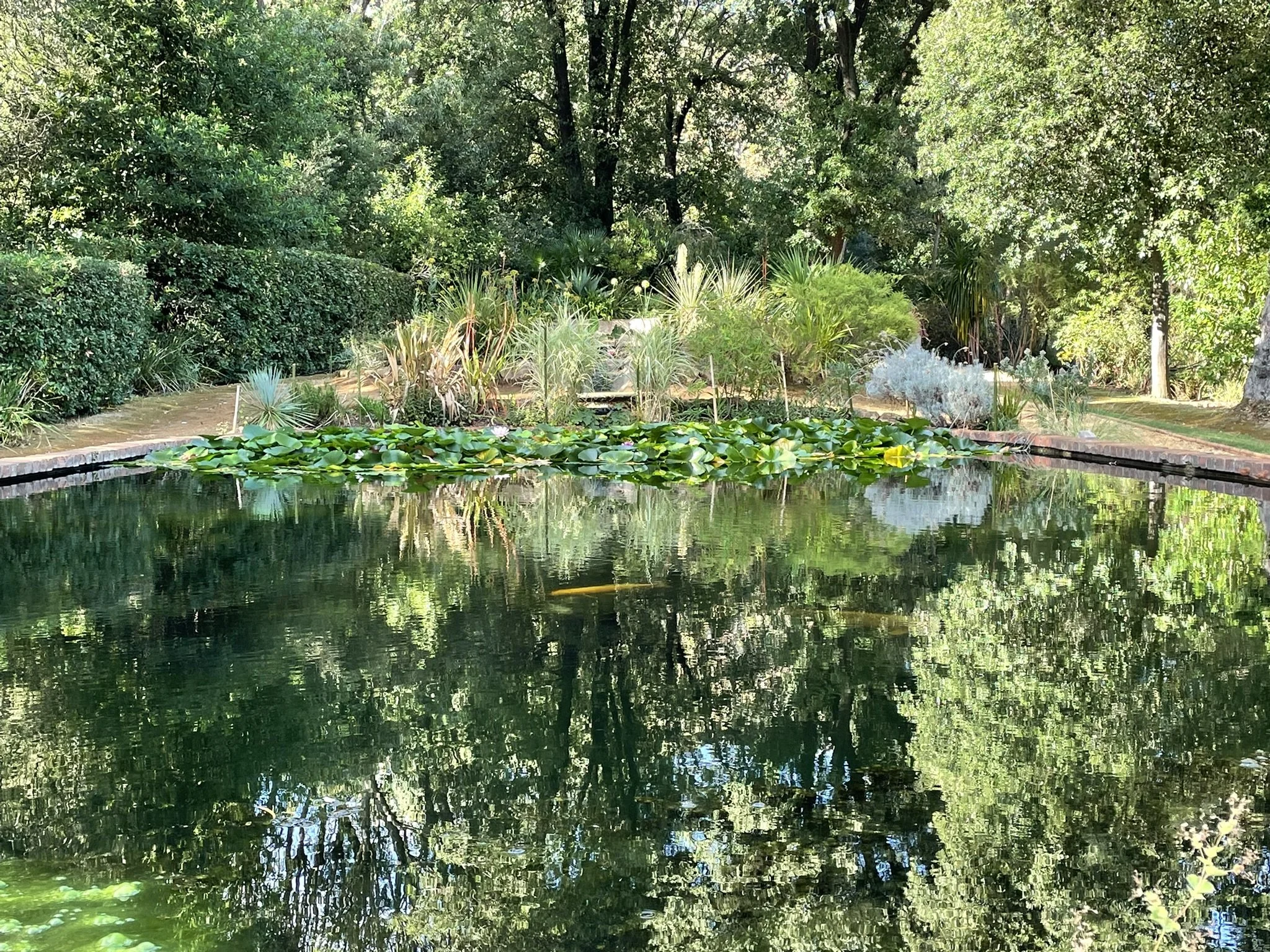 IMG_0650.JPEG