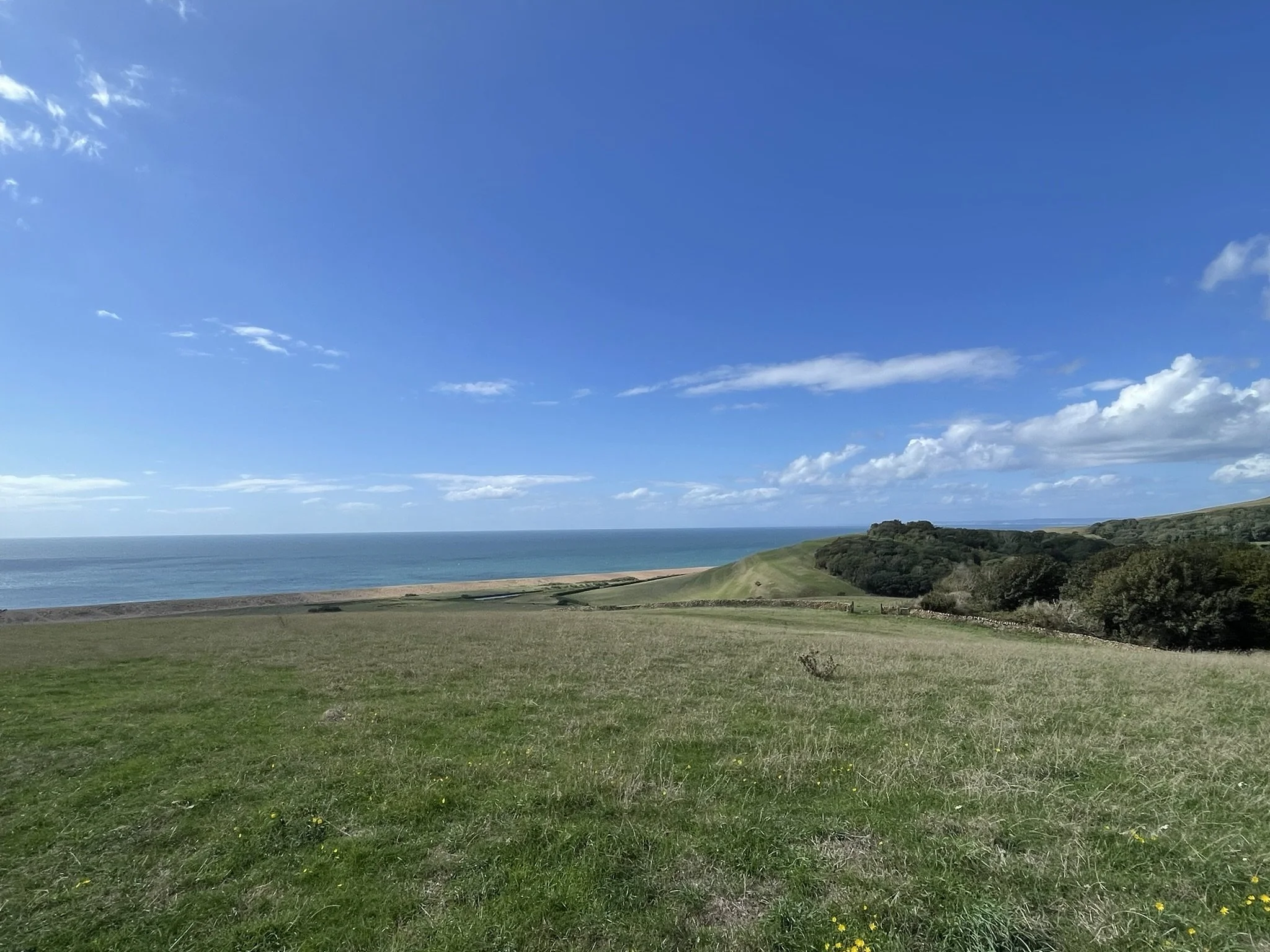 Out and About - St Catherine's Chapel walk