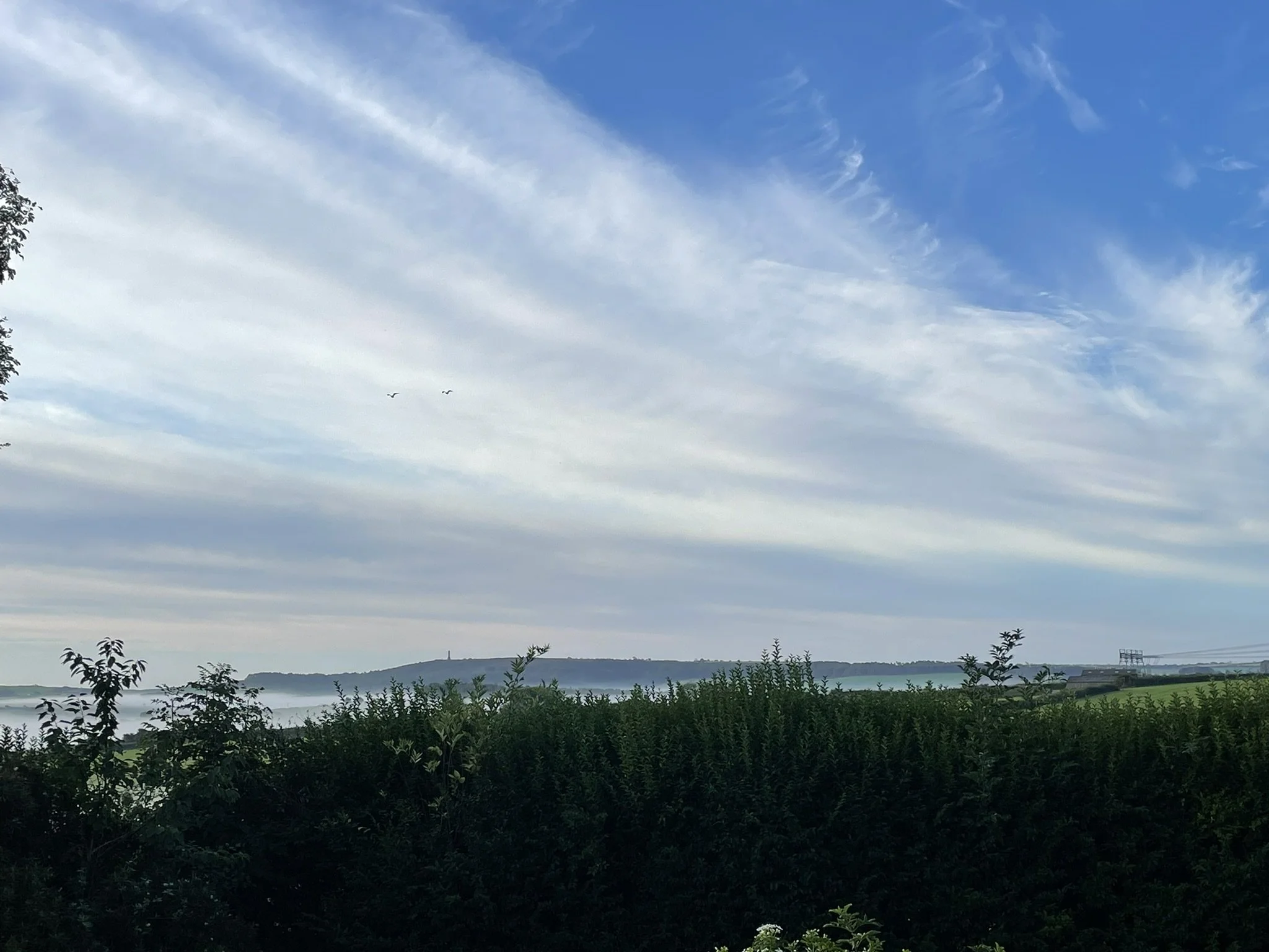 Morning clouds