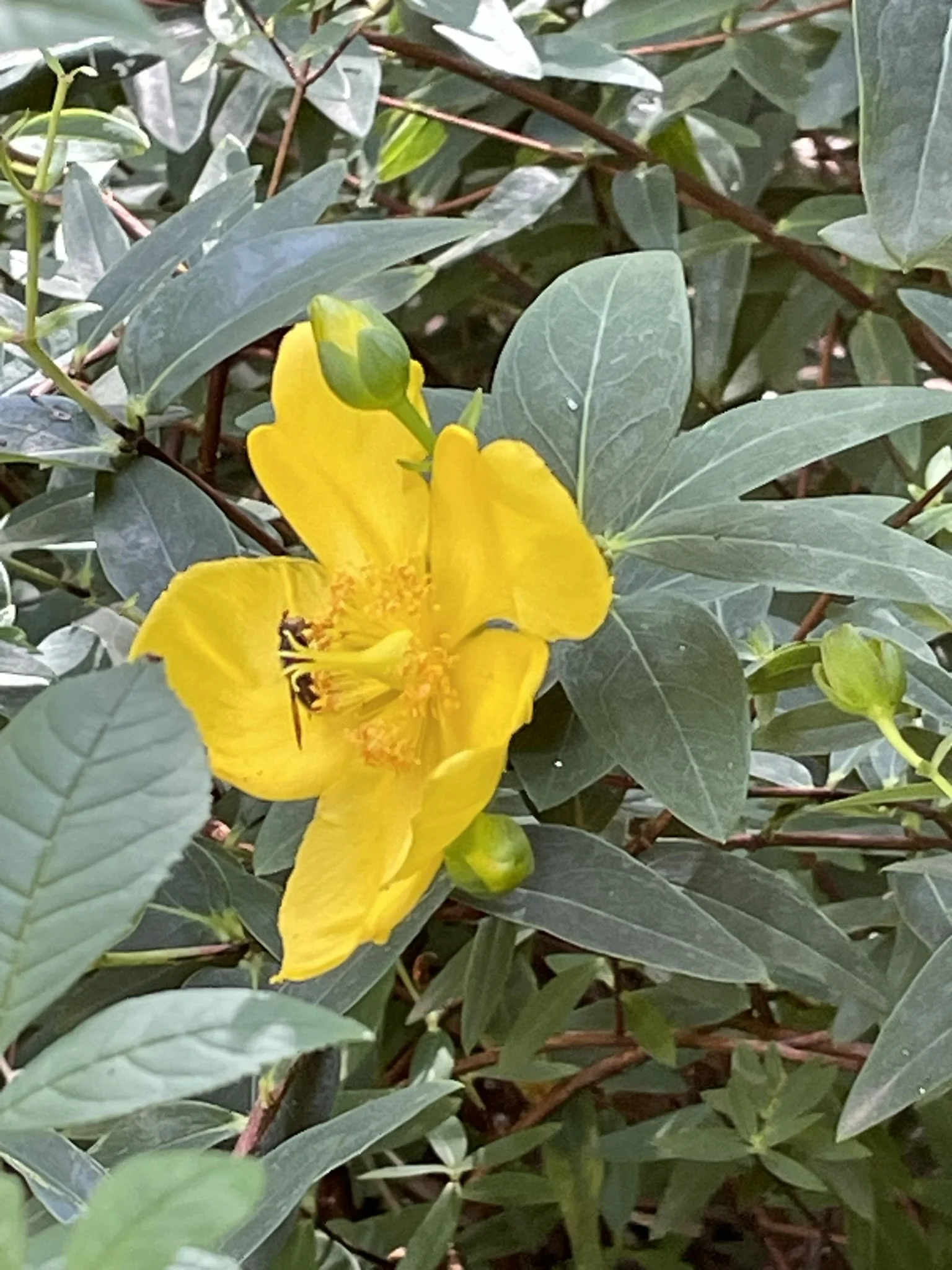 IMG_0626.JPEG