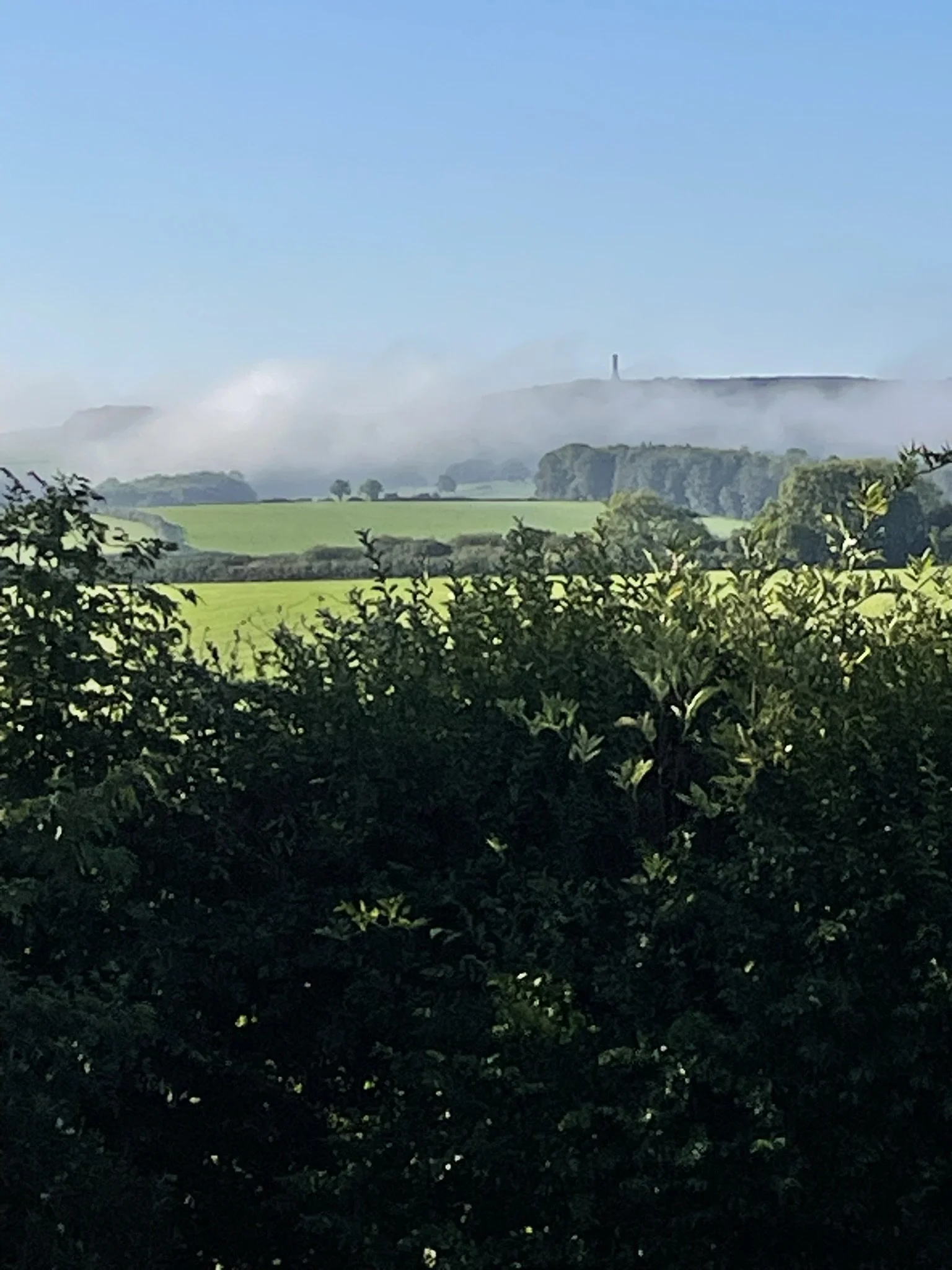 Morning clouds