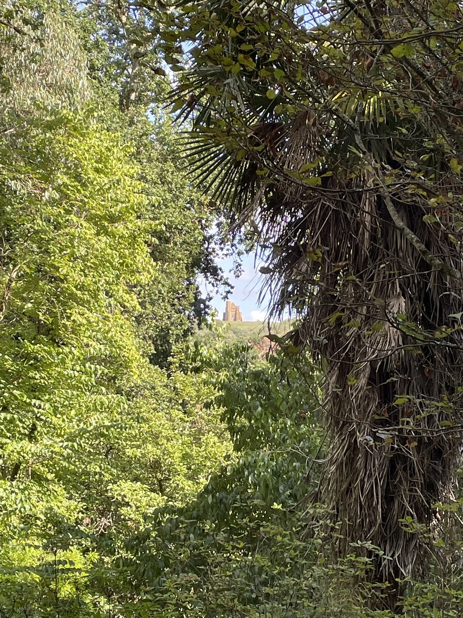 IMG_0613.JPEG
